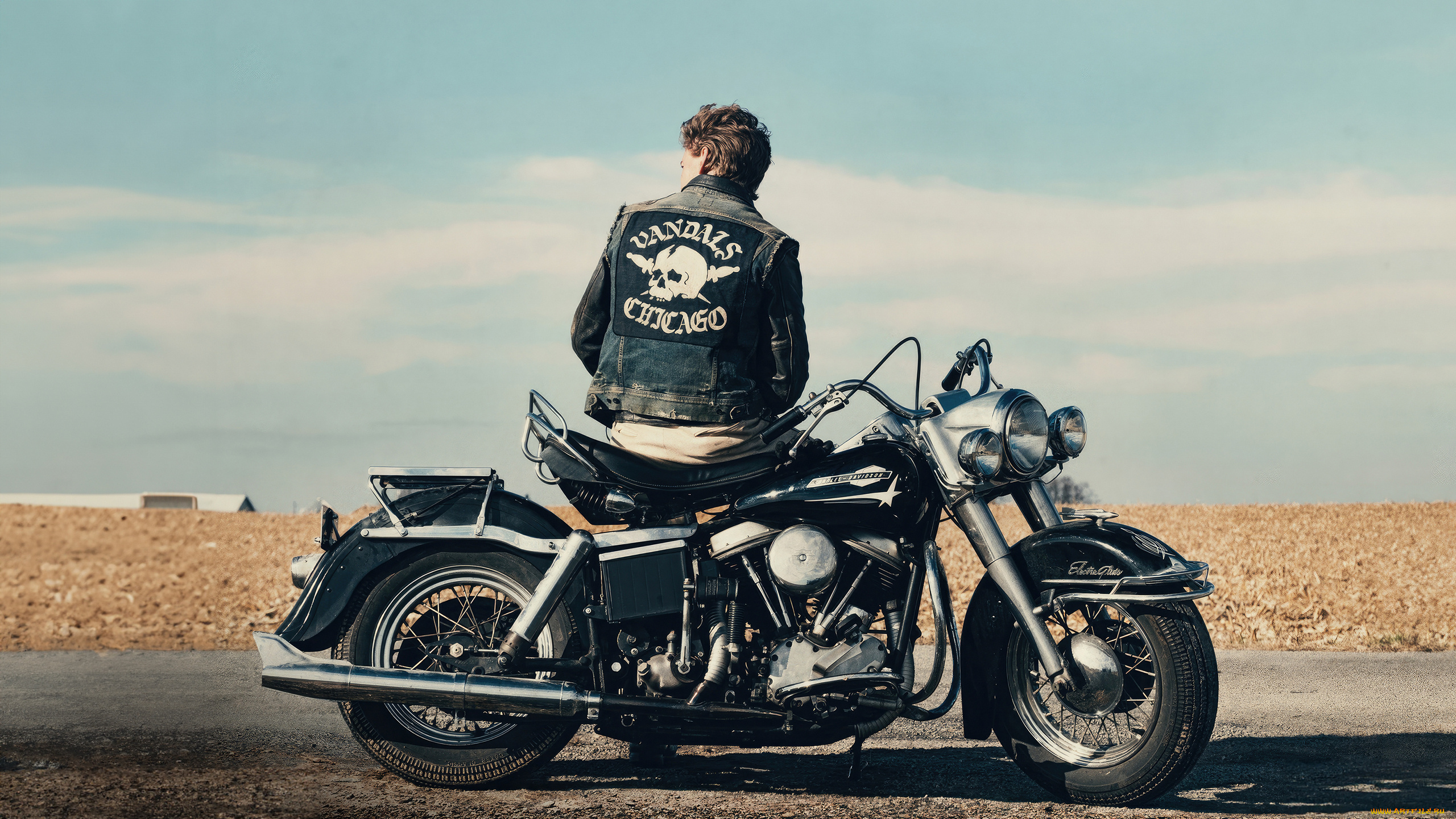 the, bikeriders, , , 2023, , кино, фильмы, -unknown, , другое, the, bikeriders, tom, hardy, драма, криминал, austin, butler