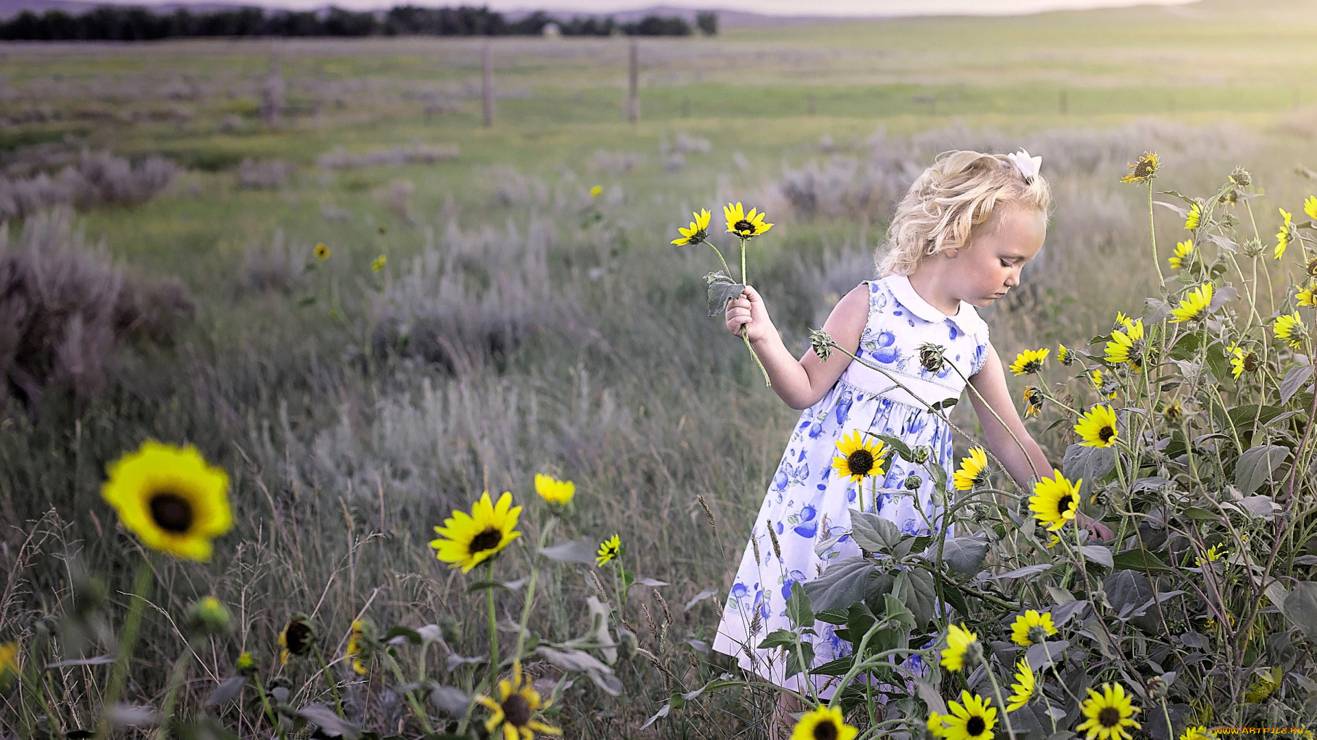 разное, дети, девочка, ребенок, трава, цветы, луг