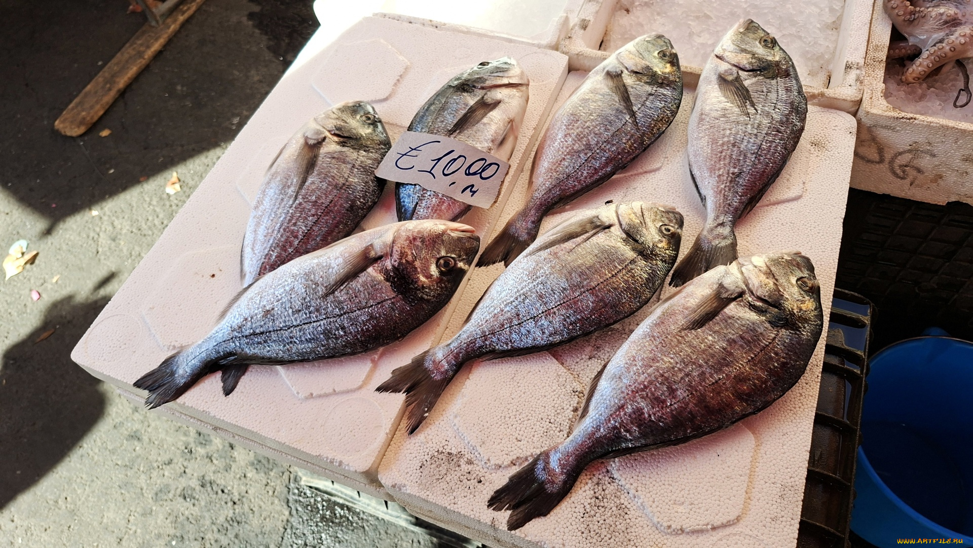 еда, рыба, , морепродукты, , суши, , роллы, свежая, ценник