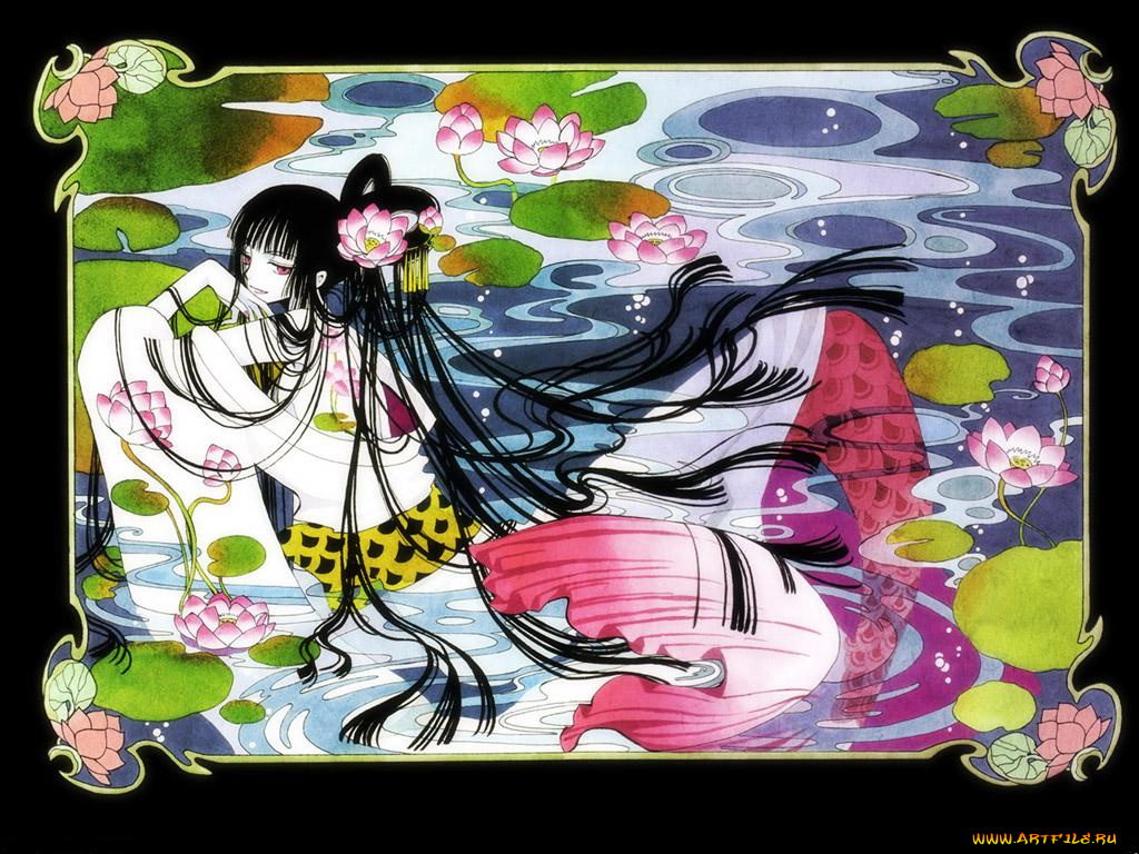 аниме, xxxholic