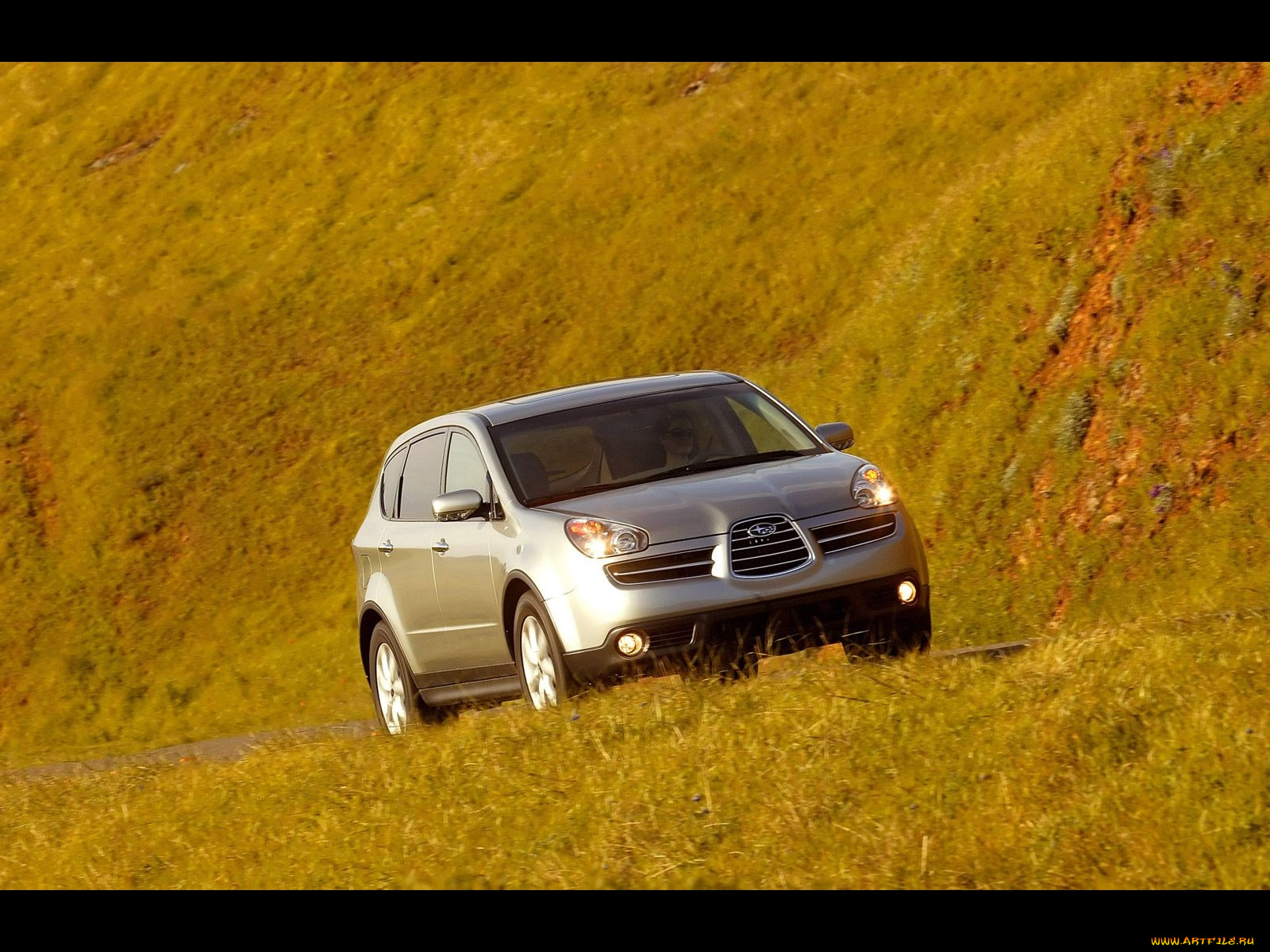 автомобили, subaru