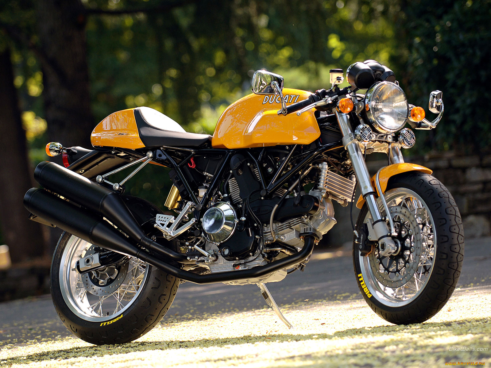 мотоциклы, ducati