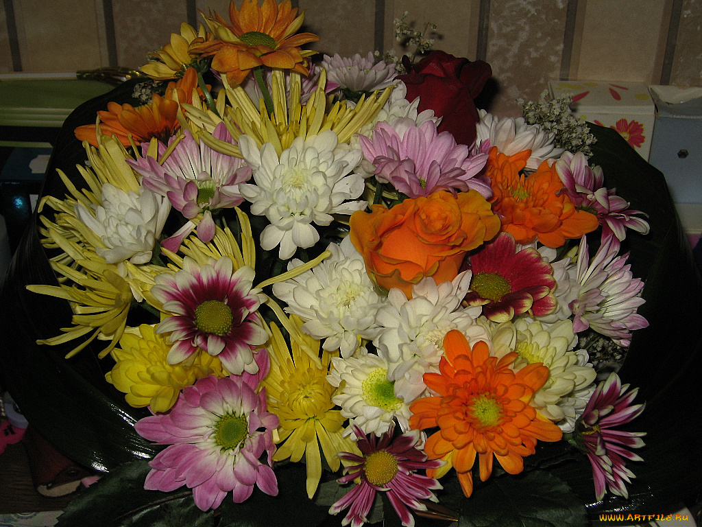 цветы, букеты, композиции