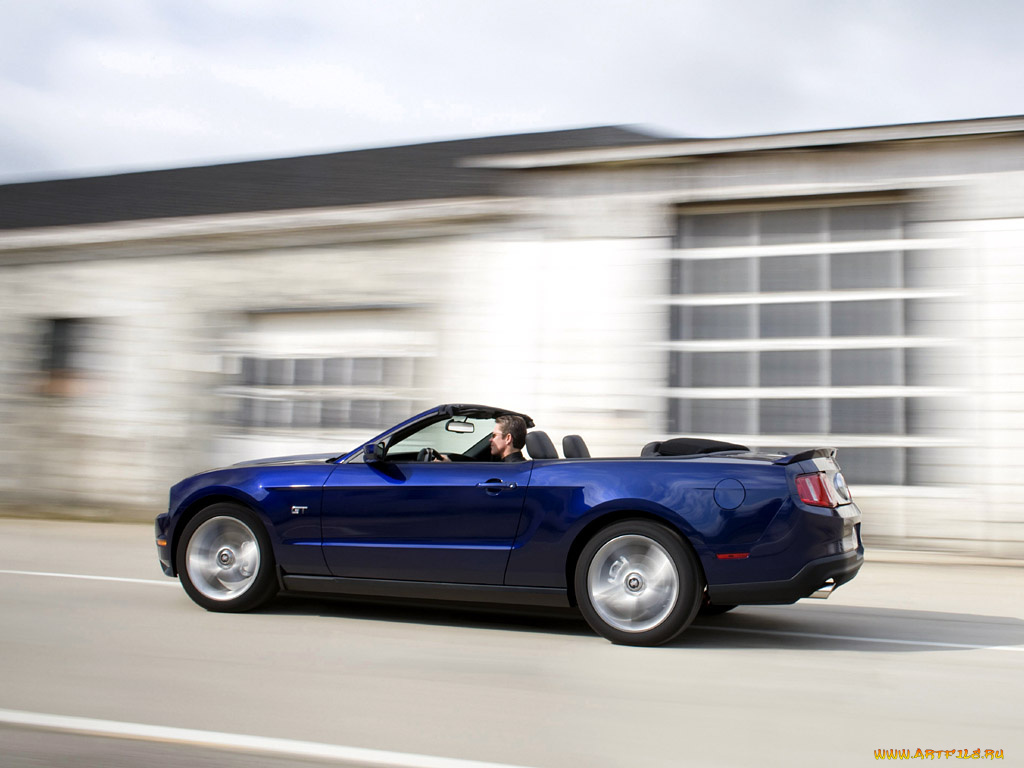 2010, ford, mustang, gt, автомобили