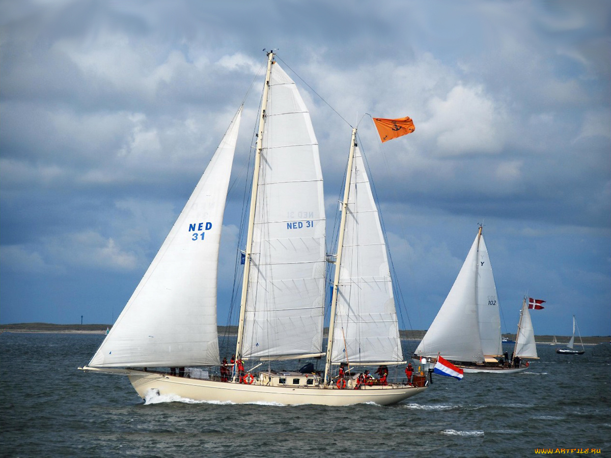 корабли, Яхты