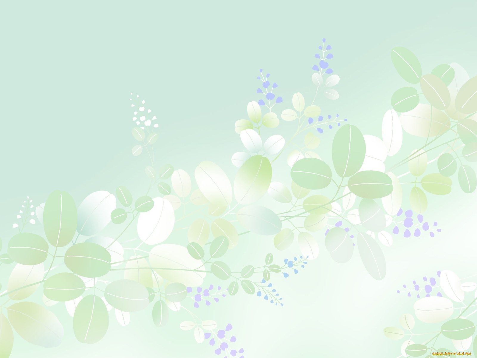 векторная, графика