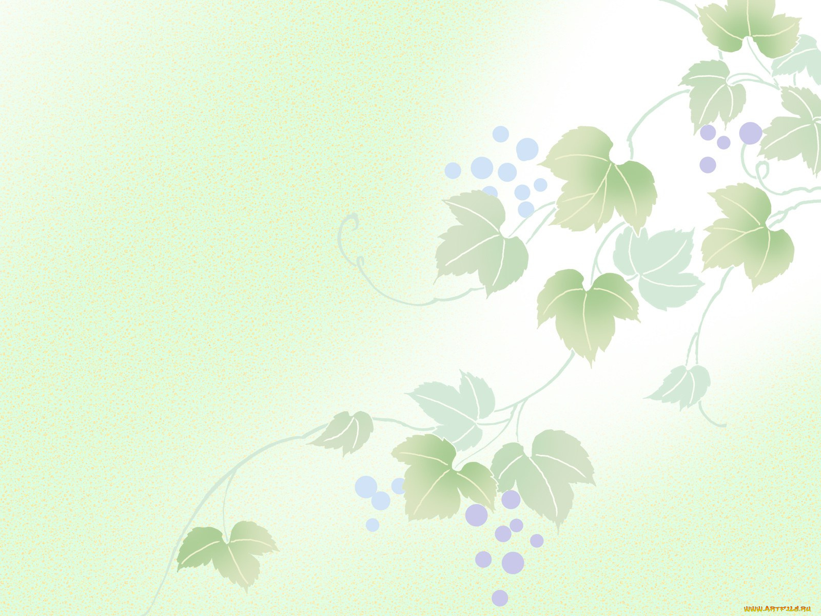 векторная, графика, виноград, листья, ягоды, гроздья, лоза