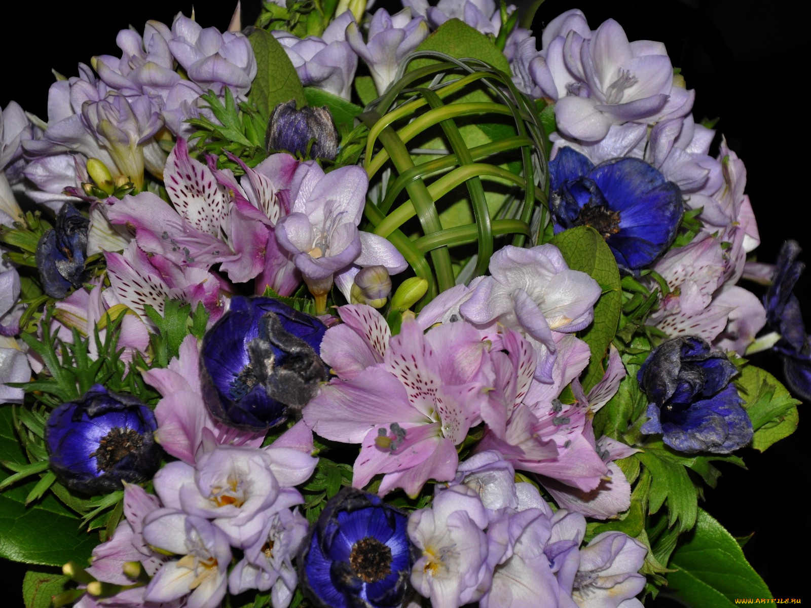 цветы, букеты, композиции