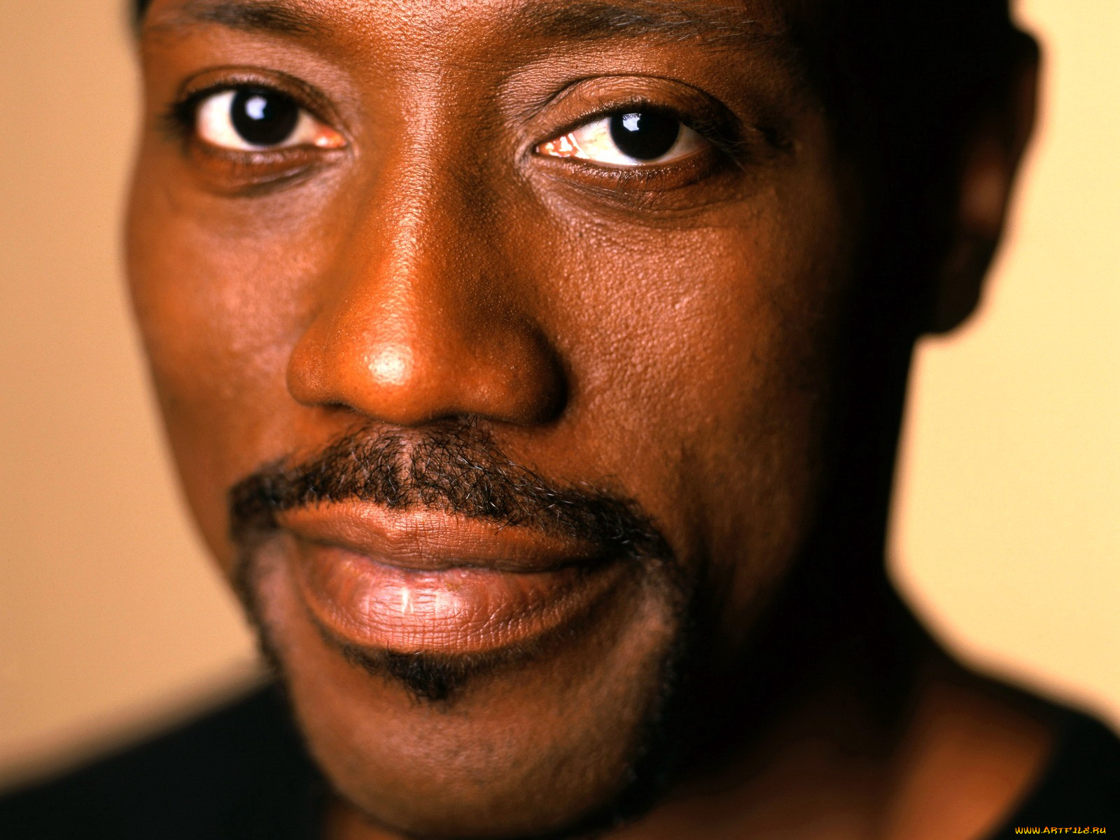 wesley, snipes, мужчины