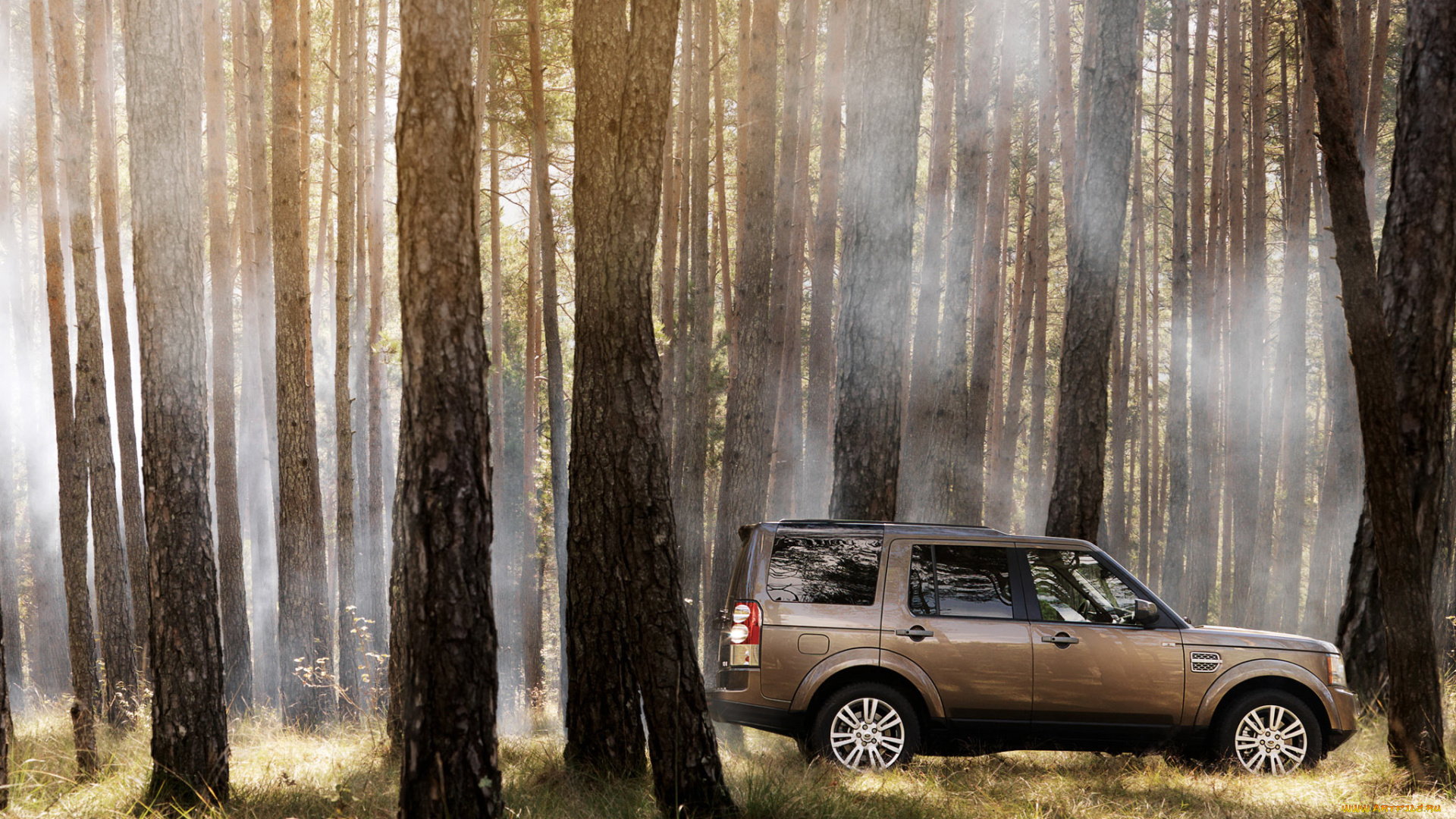 автомобили, land, rover