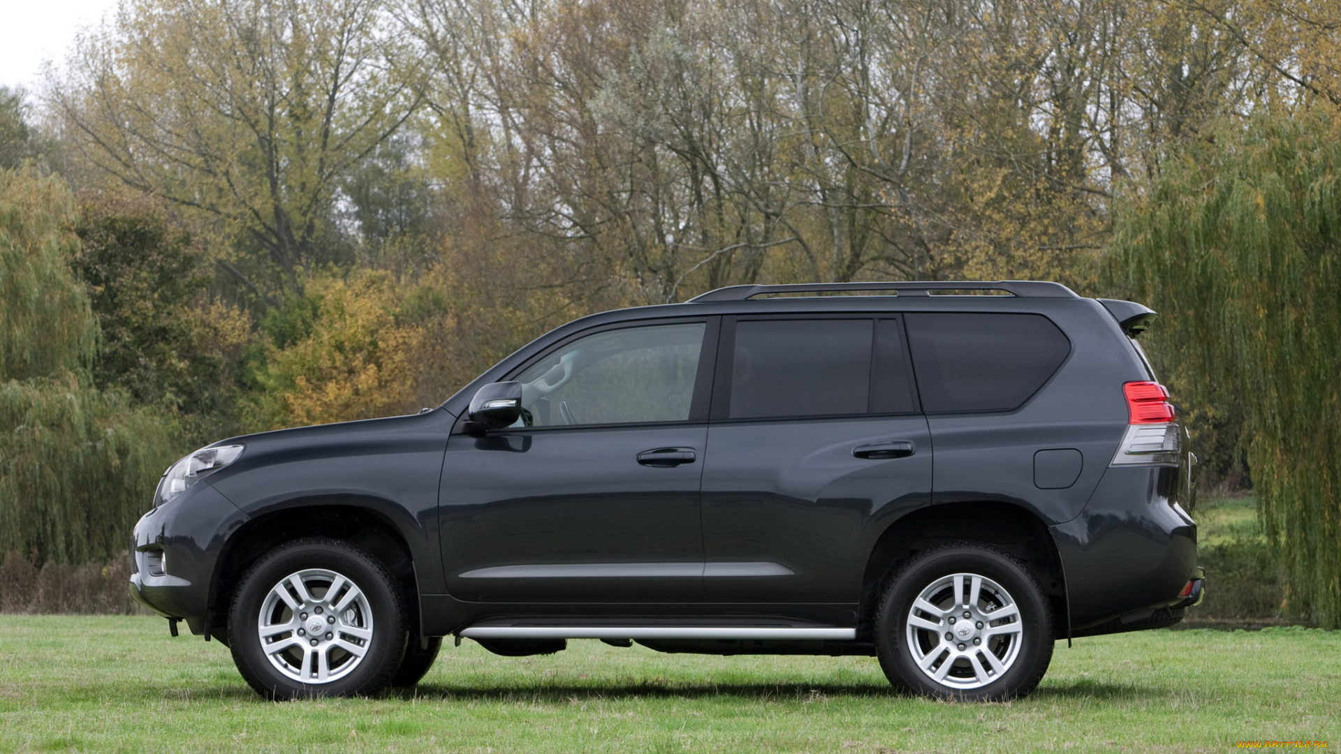 автомобили, toyota