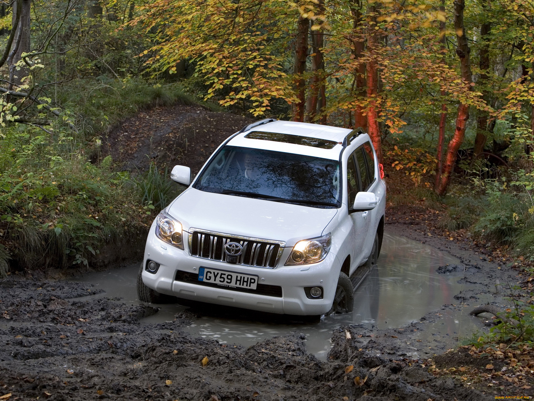 автомобили, toyota