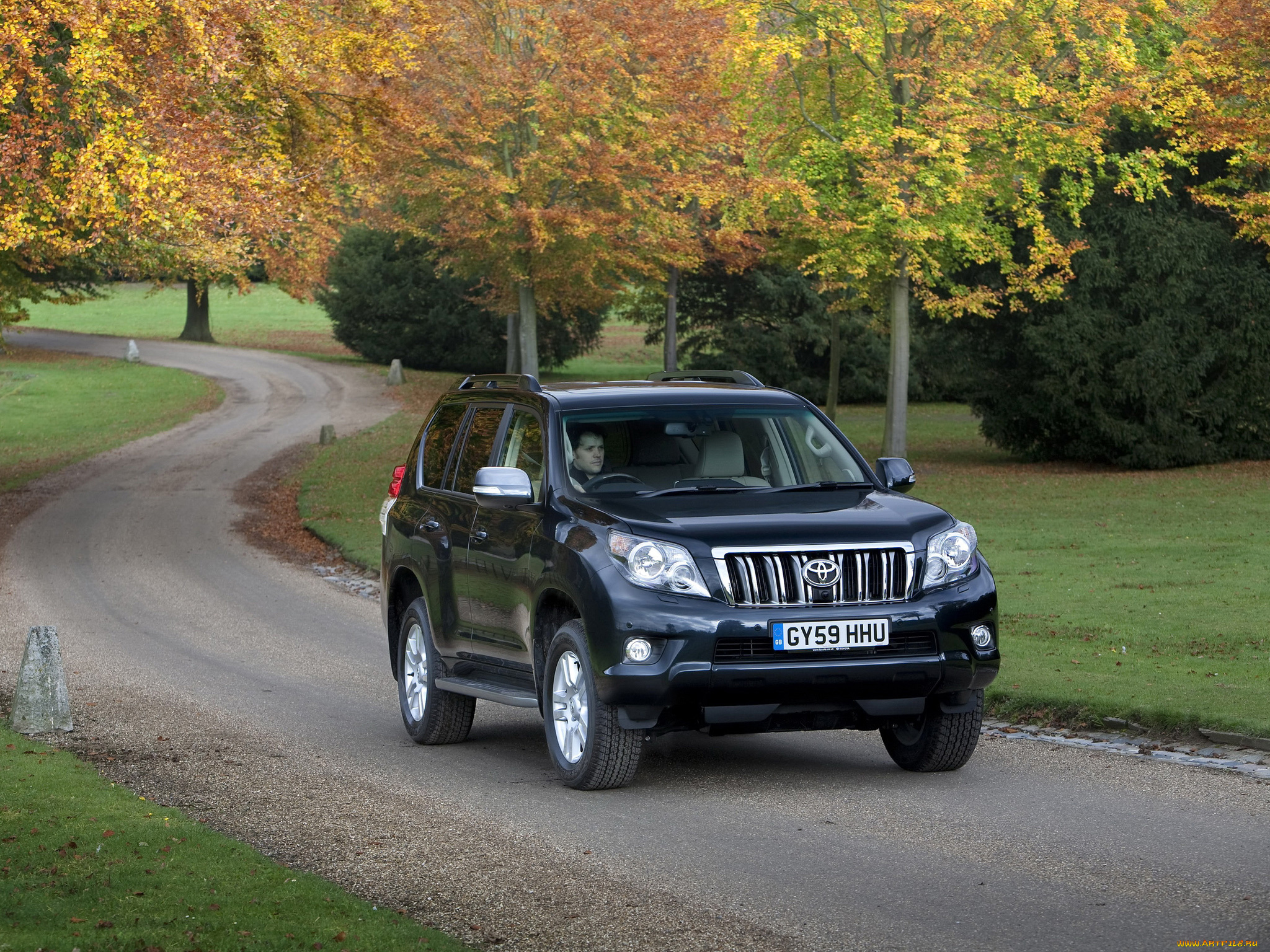 автомобили, toyota