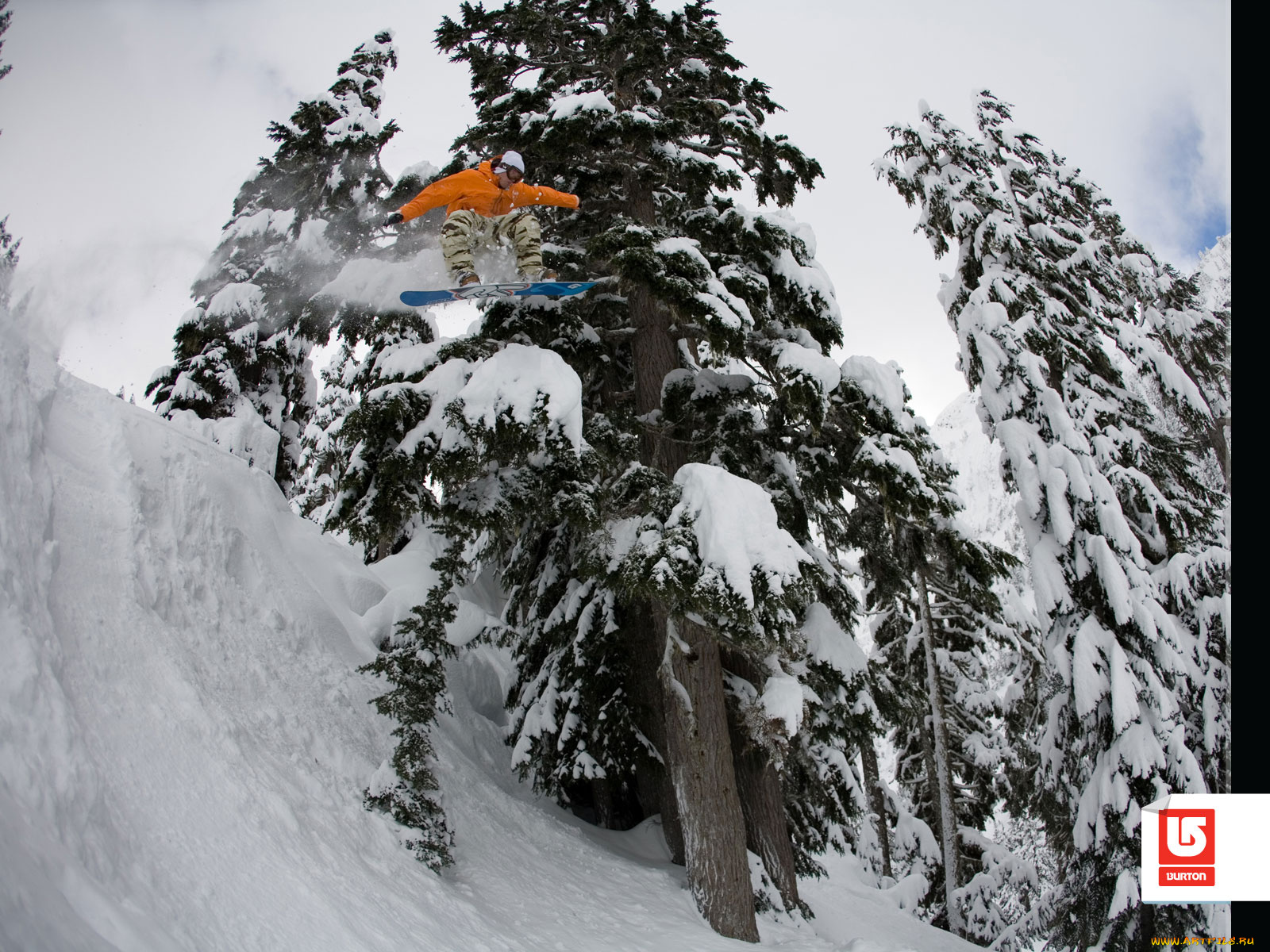 спорт, сноуборд