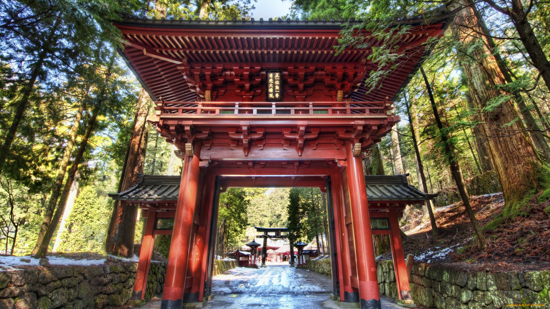 природа, парк