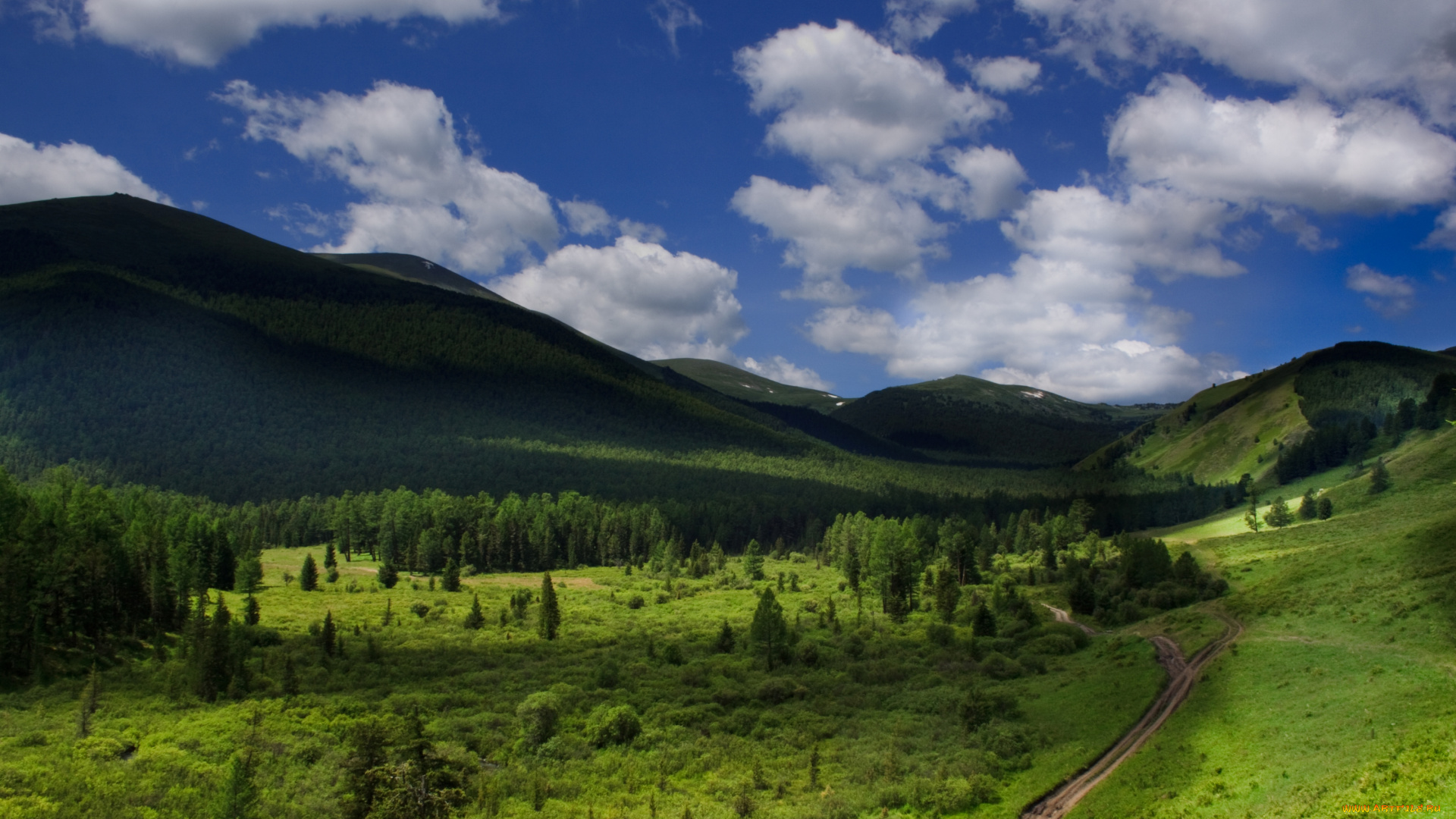 природа, горы, дорога, облака, небо, трава, деревья