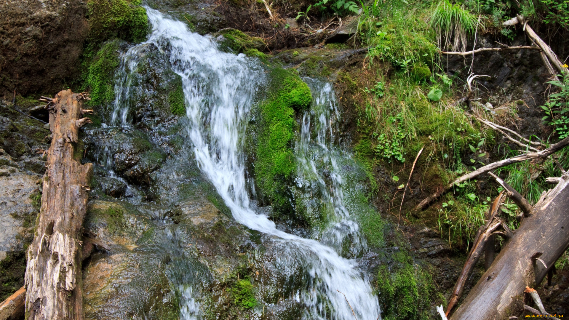 природа, водопады, деревья