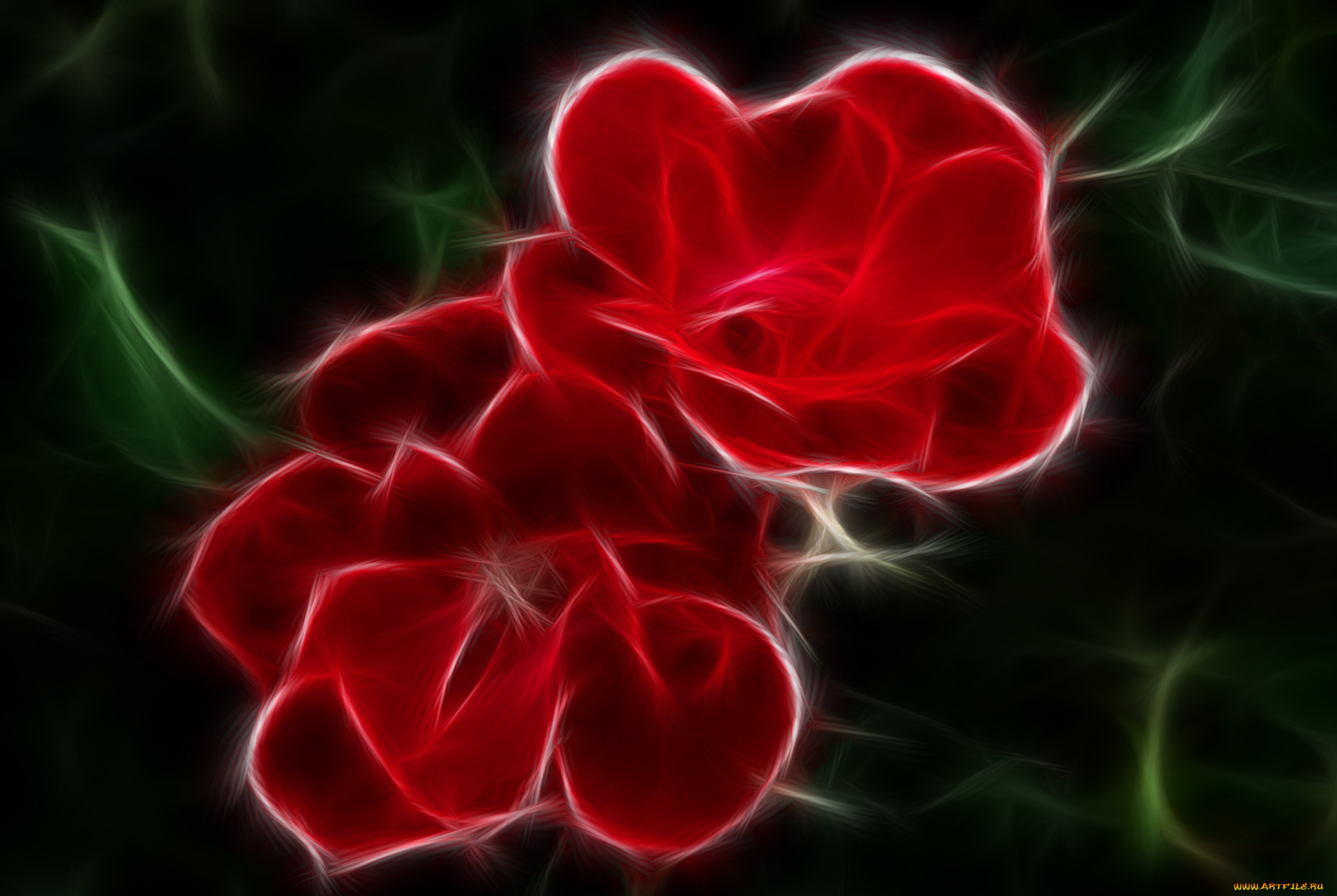 3д, графика, flowers, цветы, тёмный, фон