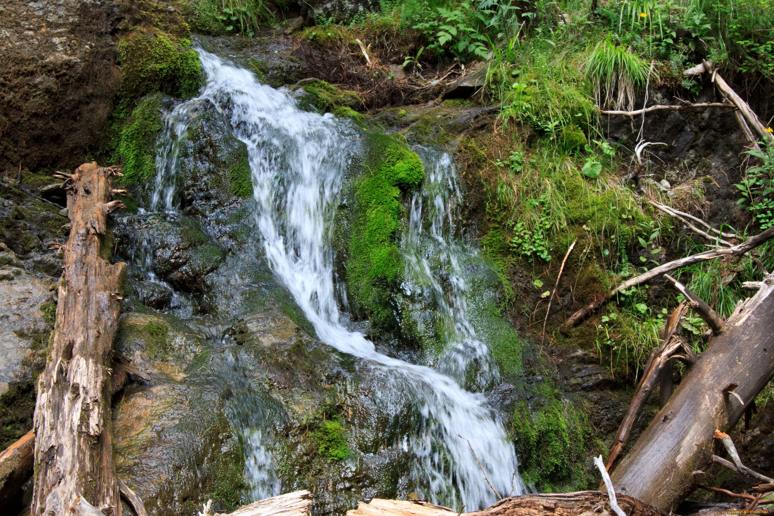 природа, водопады, деревья