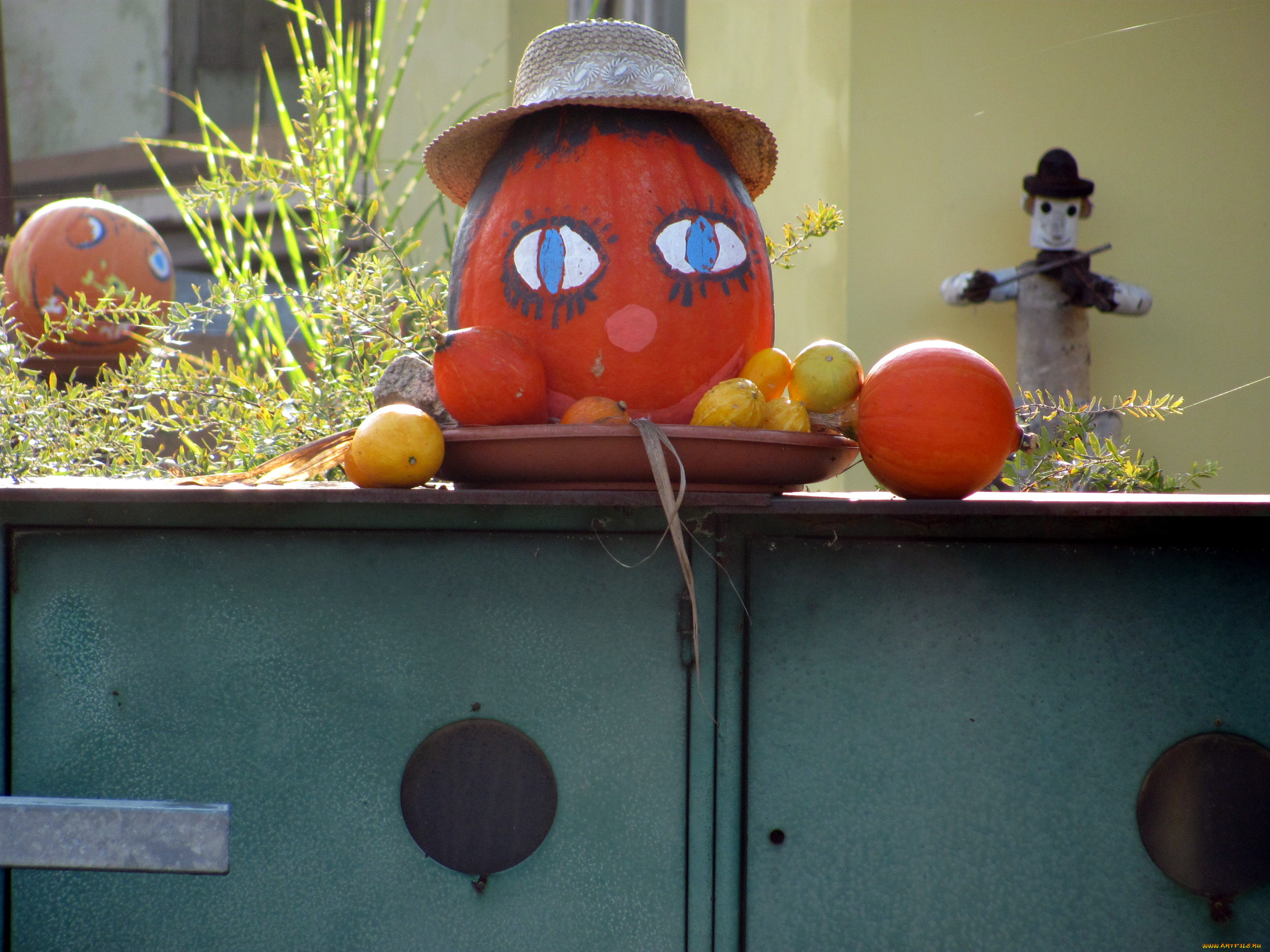 праздничные, хэллоуин, шляпа, тыквы