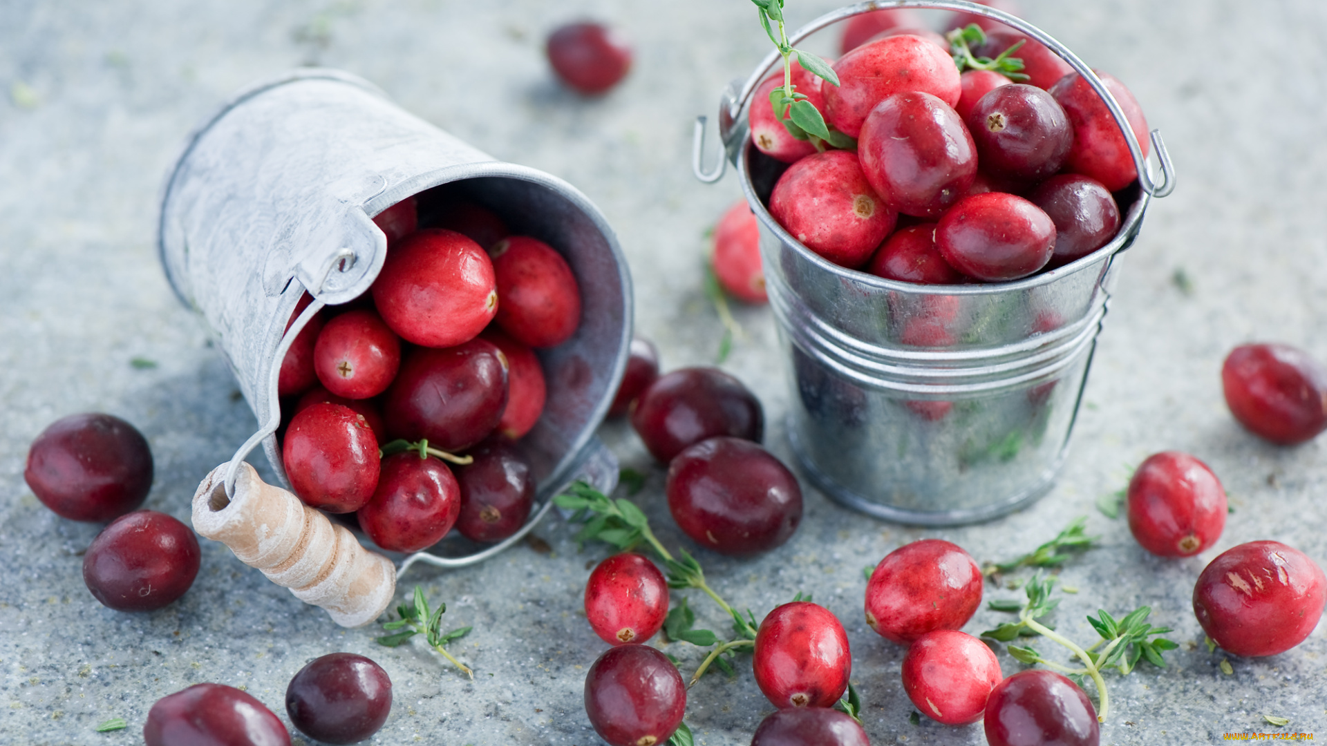 еда, клюква, ведерка