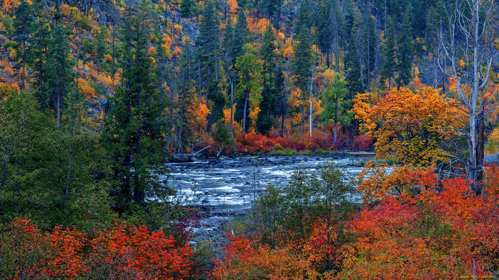 природа, реки, озера, осень