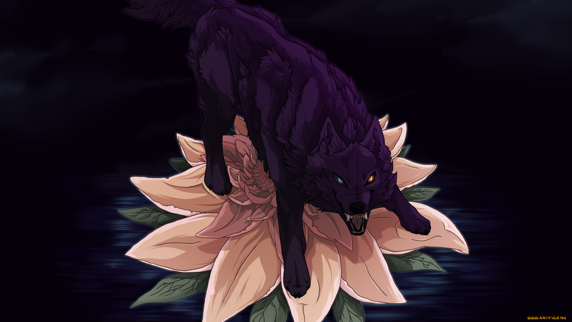 рисованные, животные, волки, цветок, волк