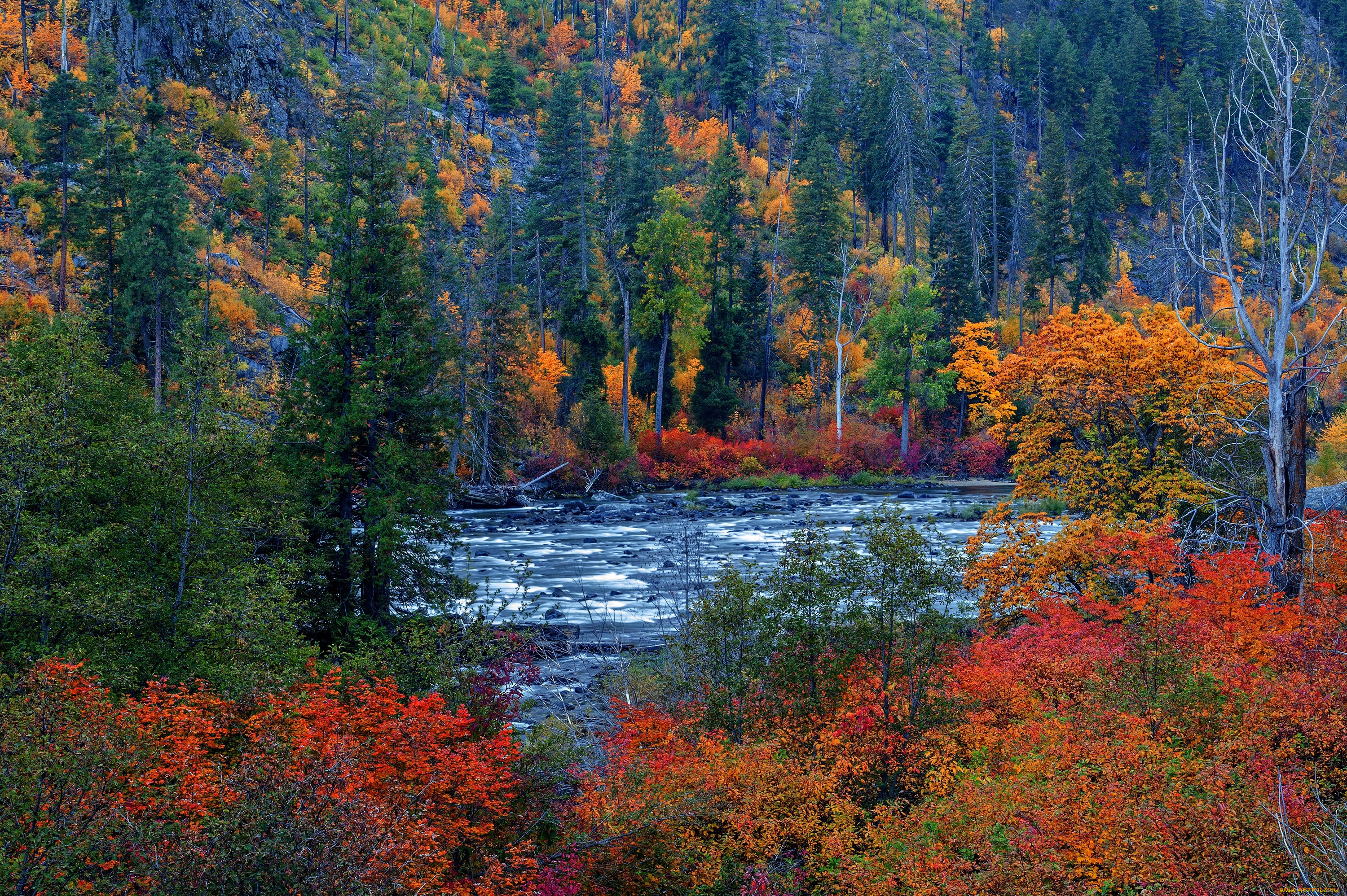 природа, реки, озера, осень