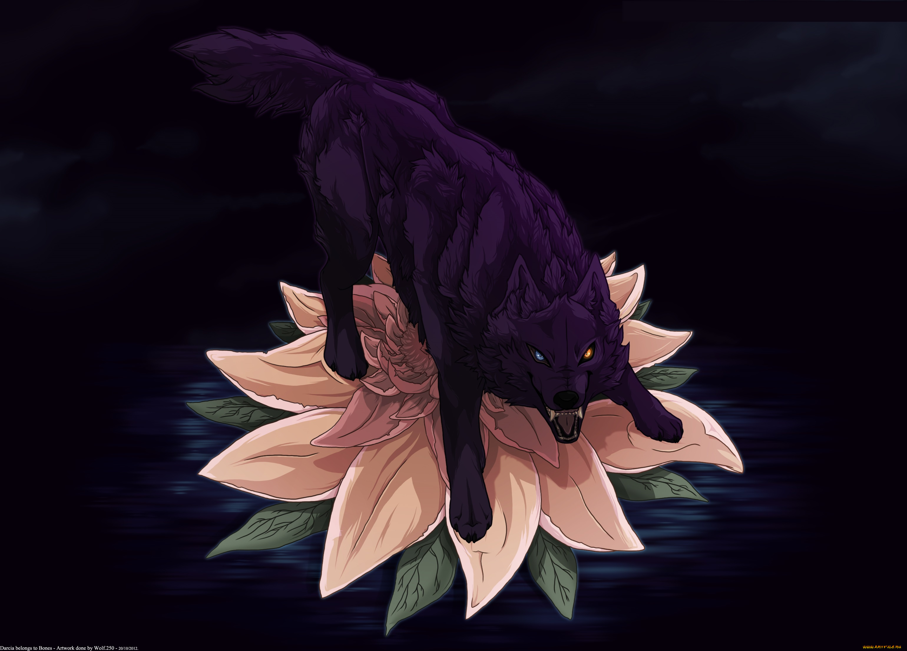 рисованные, животные, волки, цветок, волк