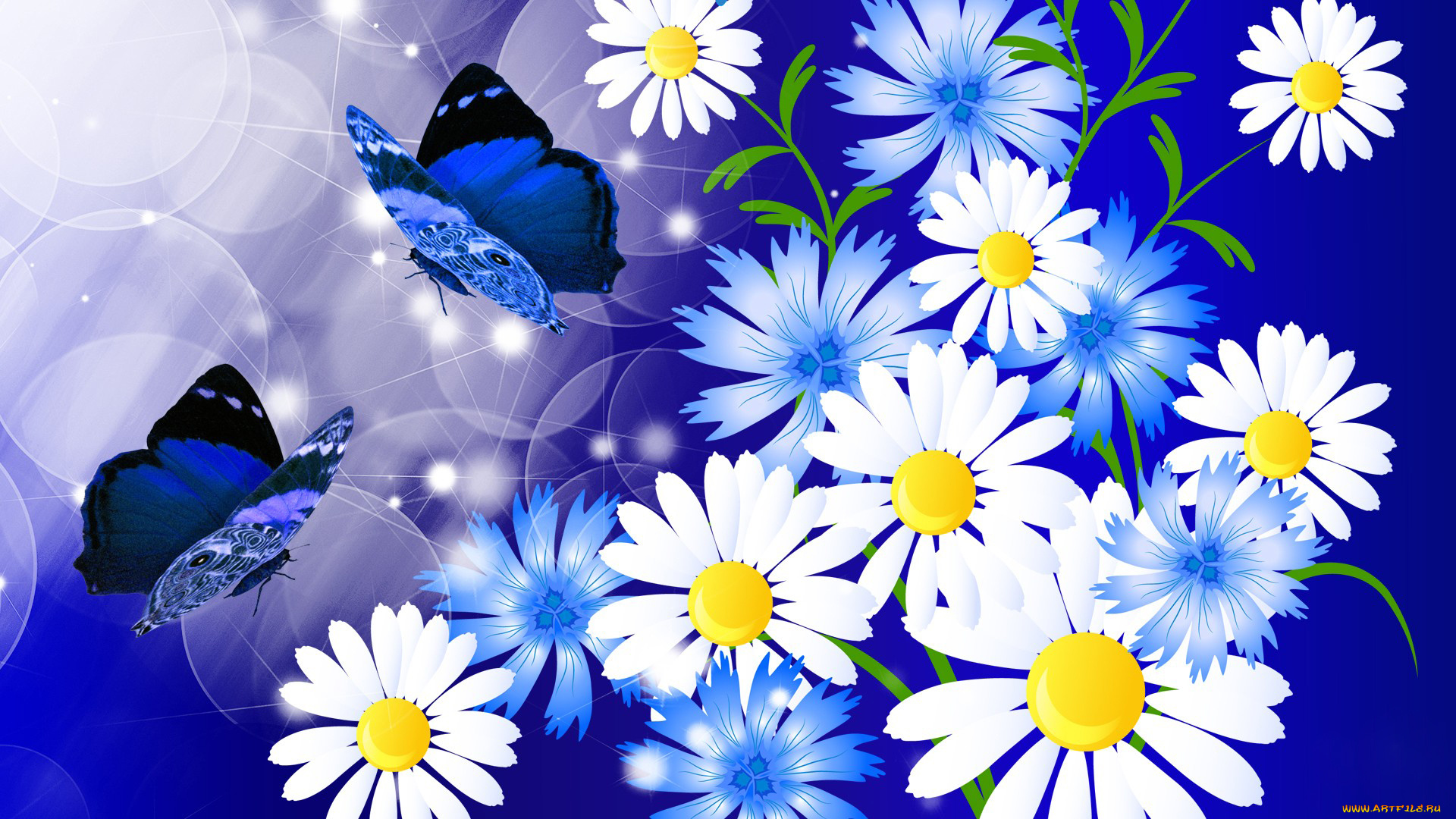 векторная, графика, цветы, бабочка, ромашки, коллаж
