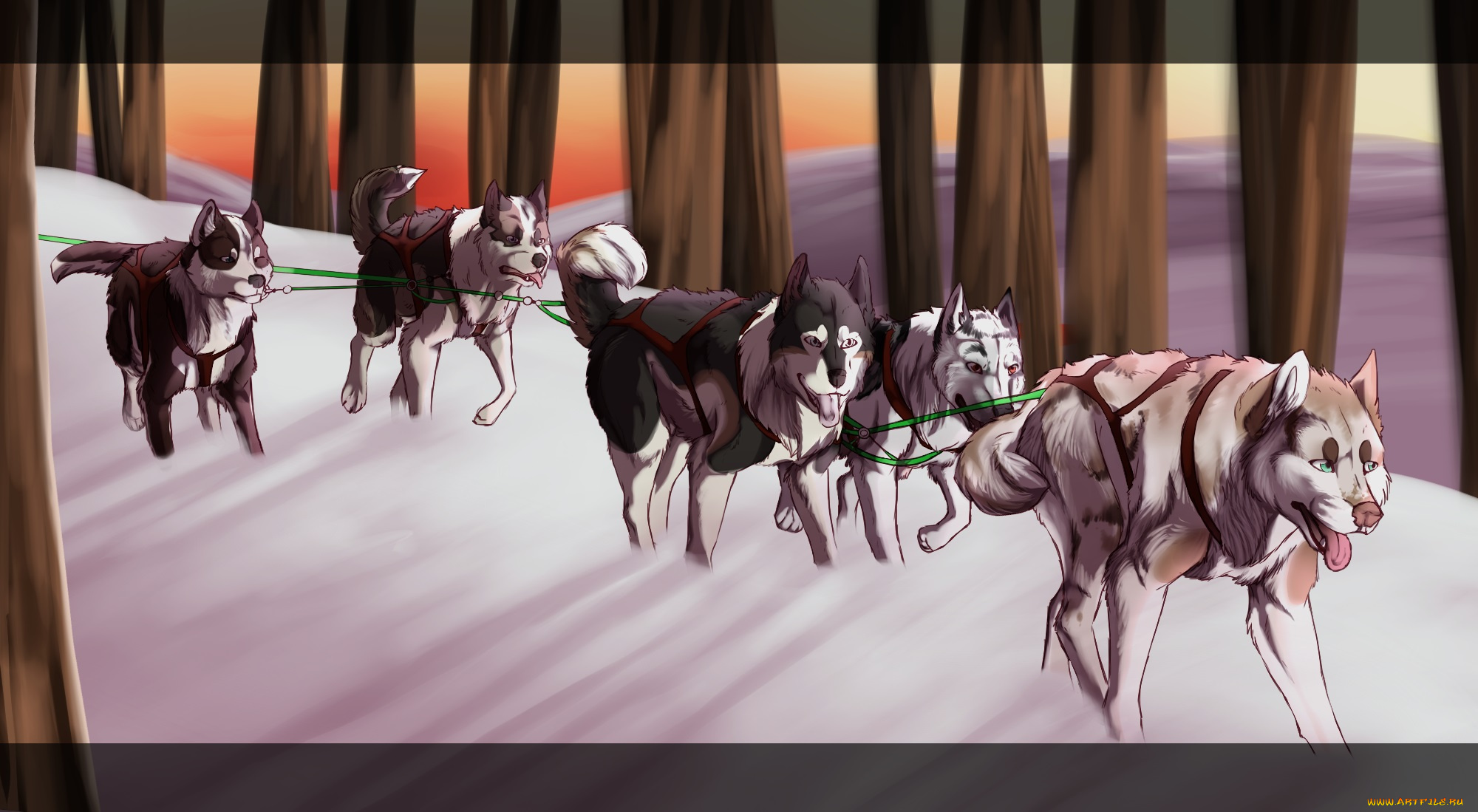 рисованное, животные, , собаки, собаки, снегн, упряжка