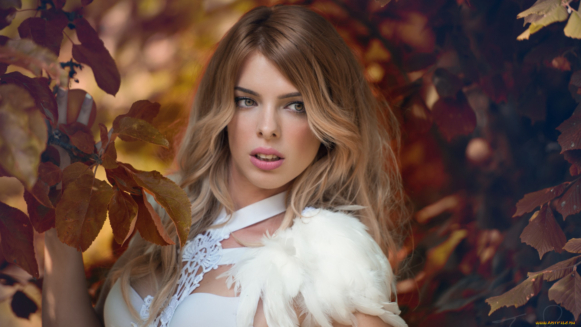 девушки, jolie, louise, взгляд, модель, jolie, louise, настроение, стиль, листья, ветки, перья