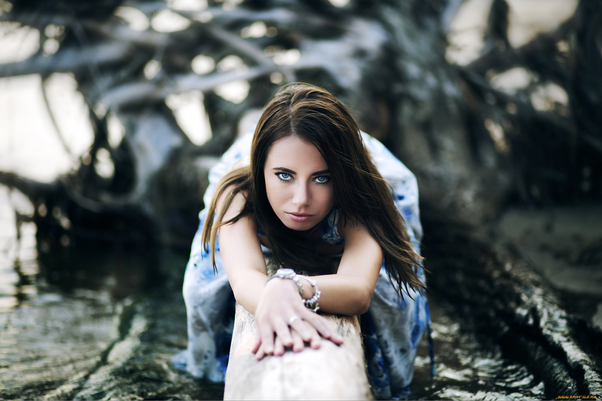 девушки, -unsort, , брюнетки, , шатенки, вода, бревно, платье, взгляд, брюнетка, девушка, олег, волошин, oleg, volosuhin