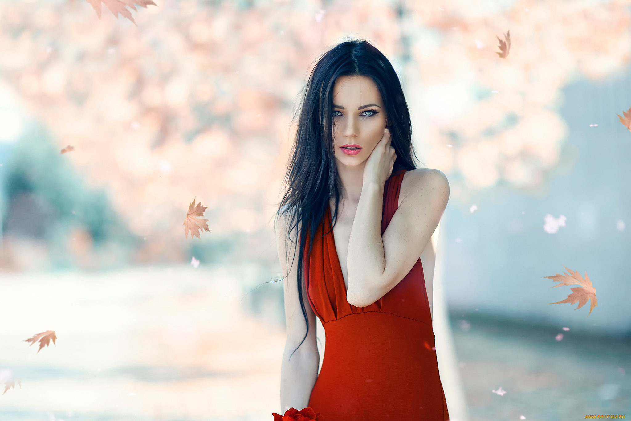 девушки, alessandro, di, cicco, девушка, в, красном, alessandro, di, cicco, осень, листопад