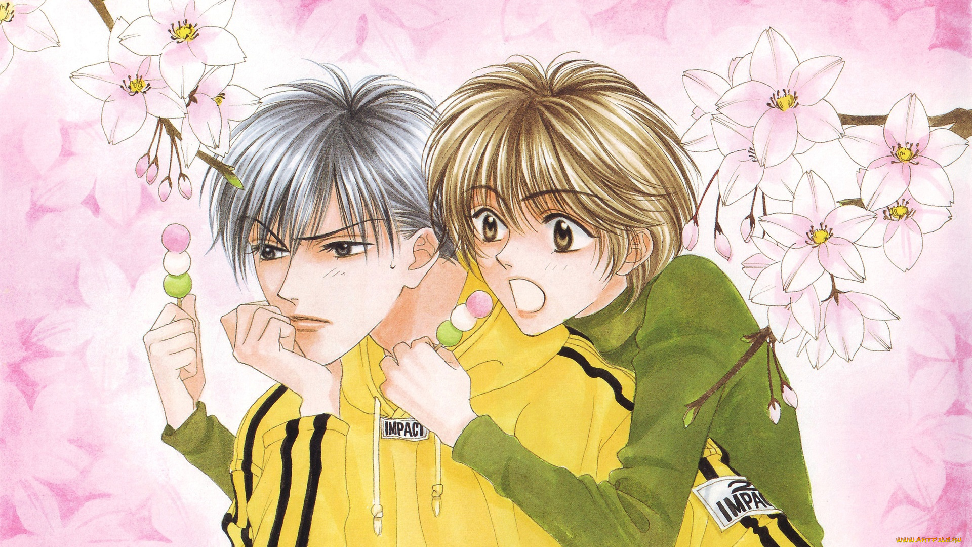 аниме, hanakimi, парни