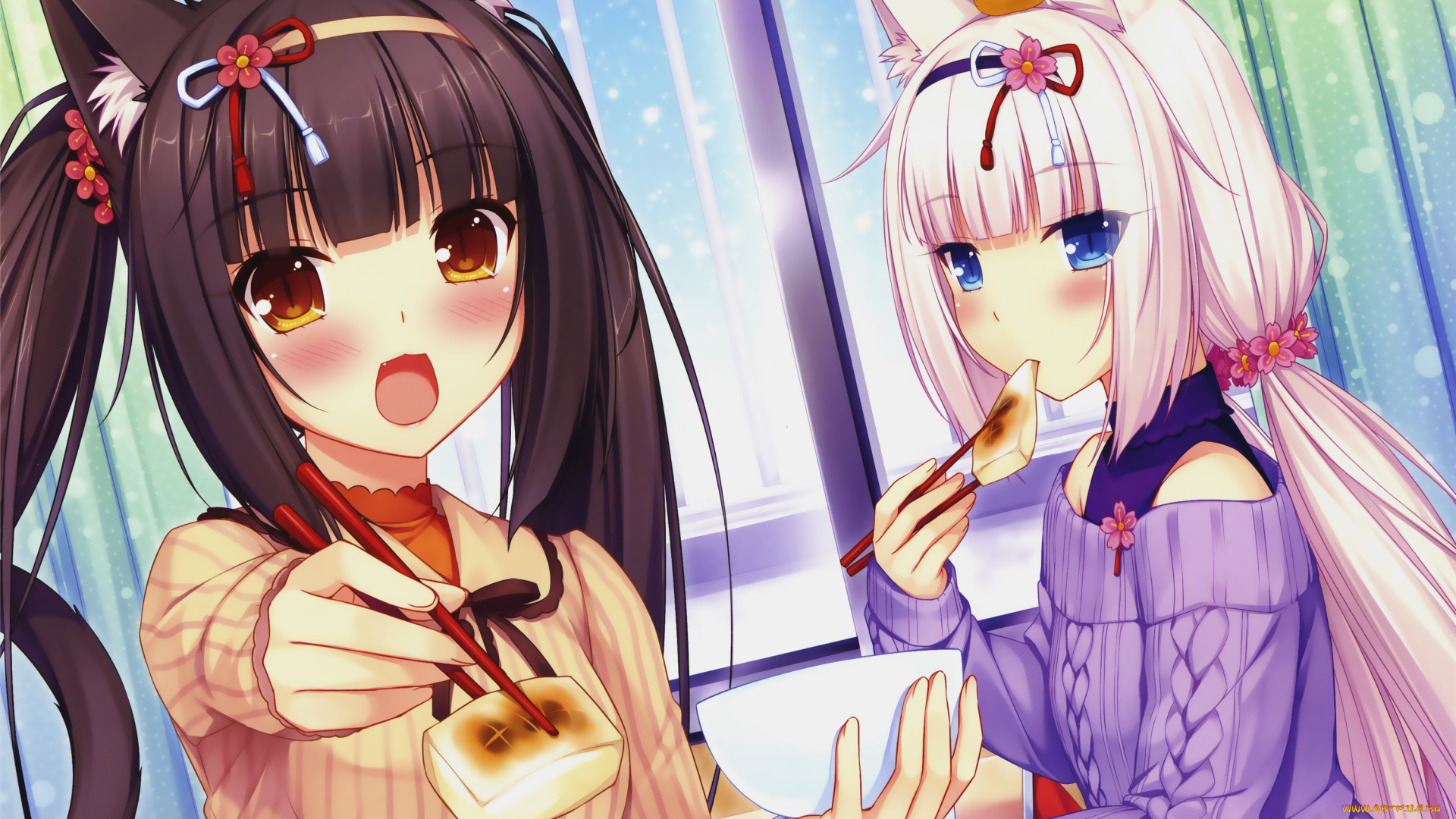 аниме, nekopara, взгляд, девушки, фон