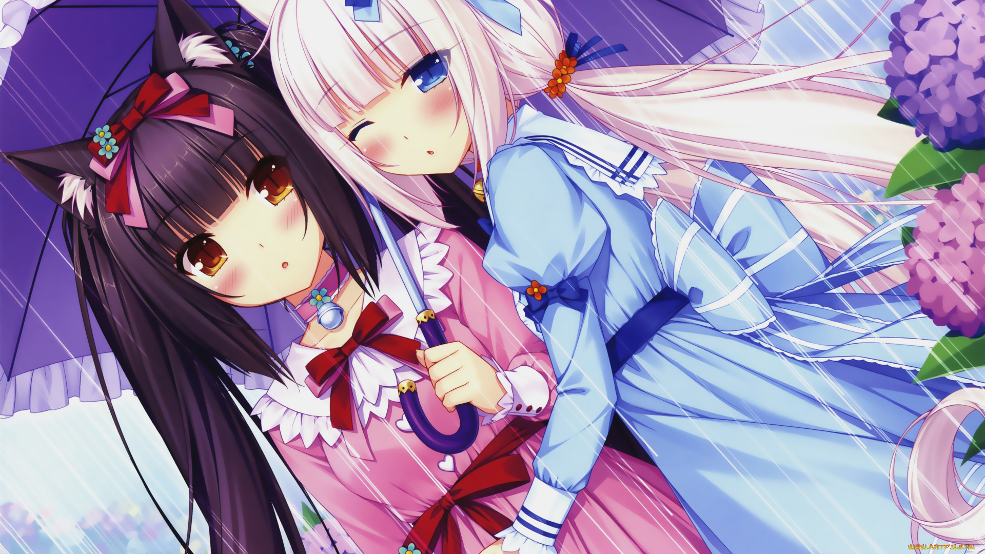 nekopara, аниме, фон, взгляд, девушки