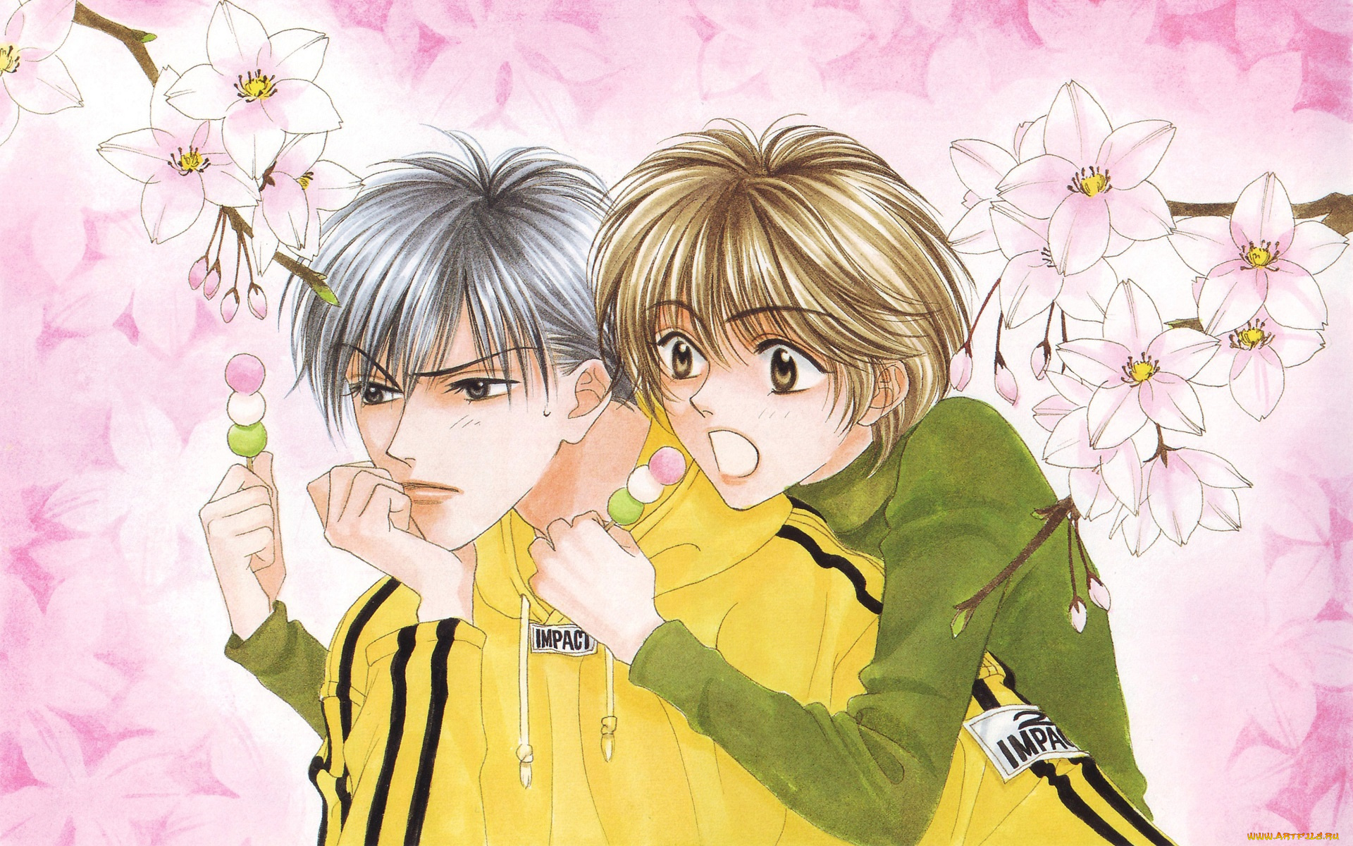 аниме, hanakimi, парни