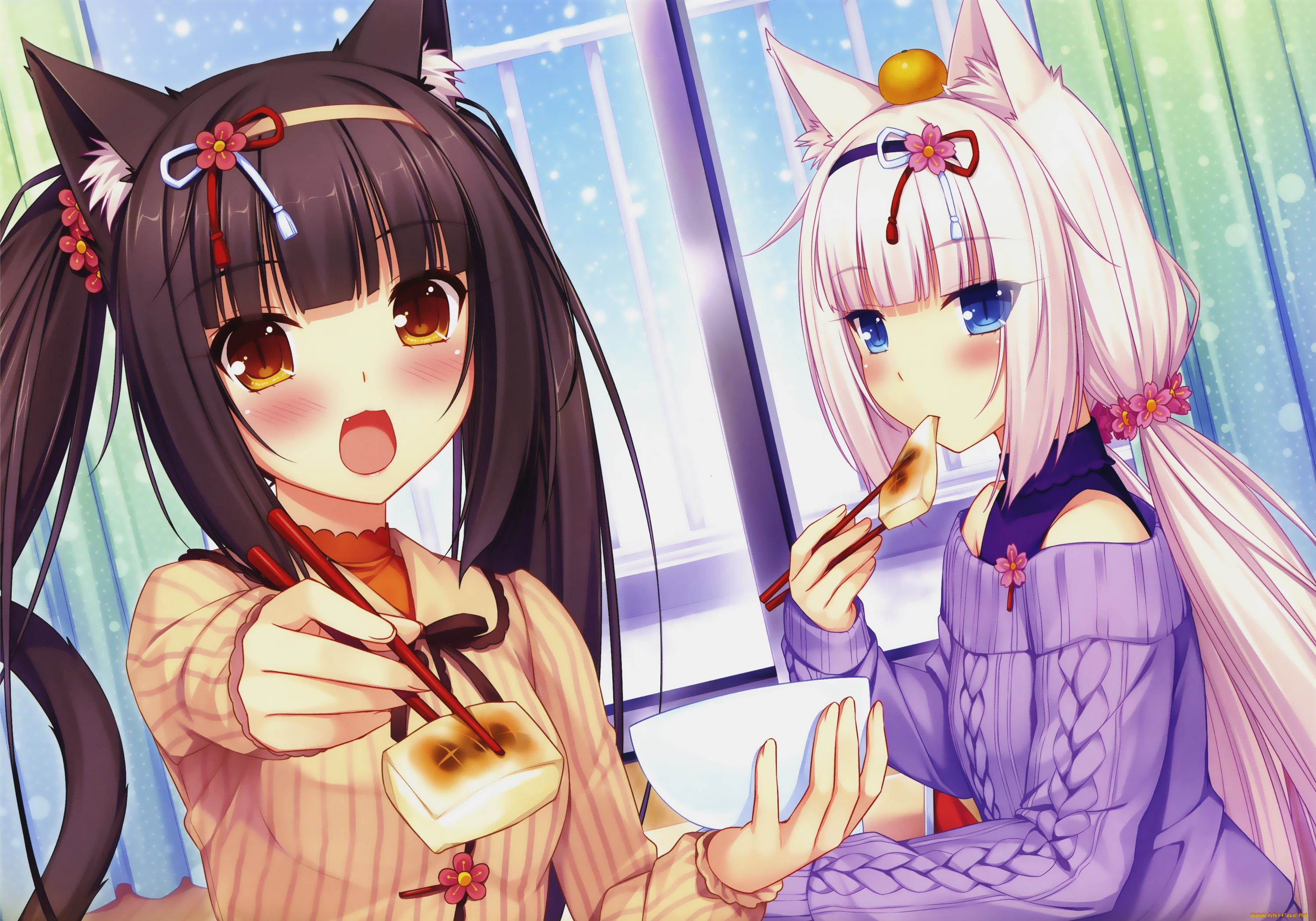 аниме, nekopara, взгляд, девушки, фон