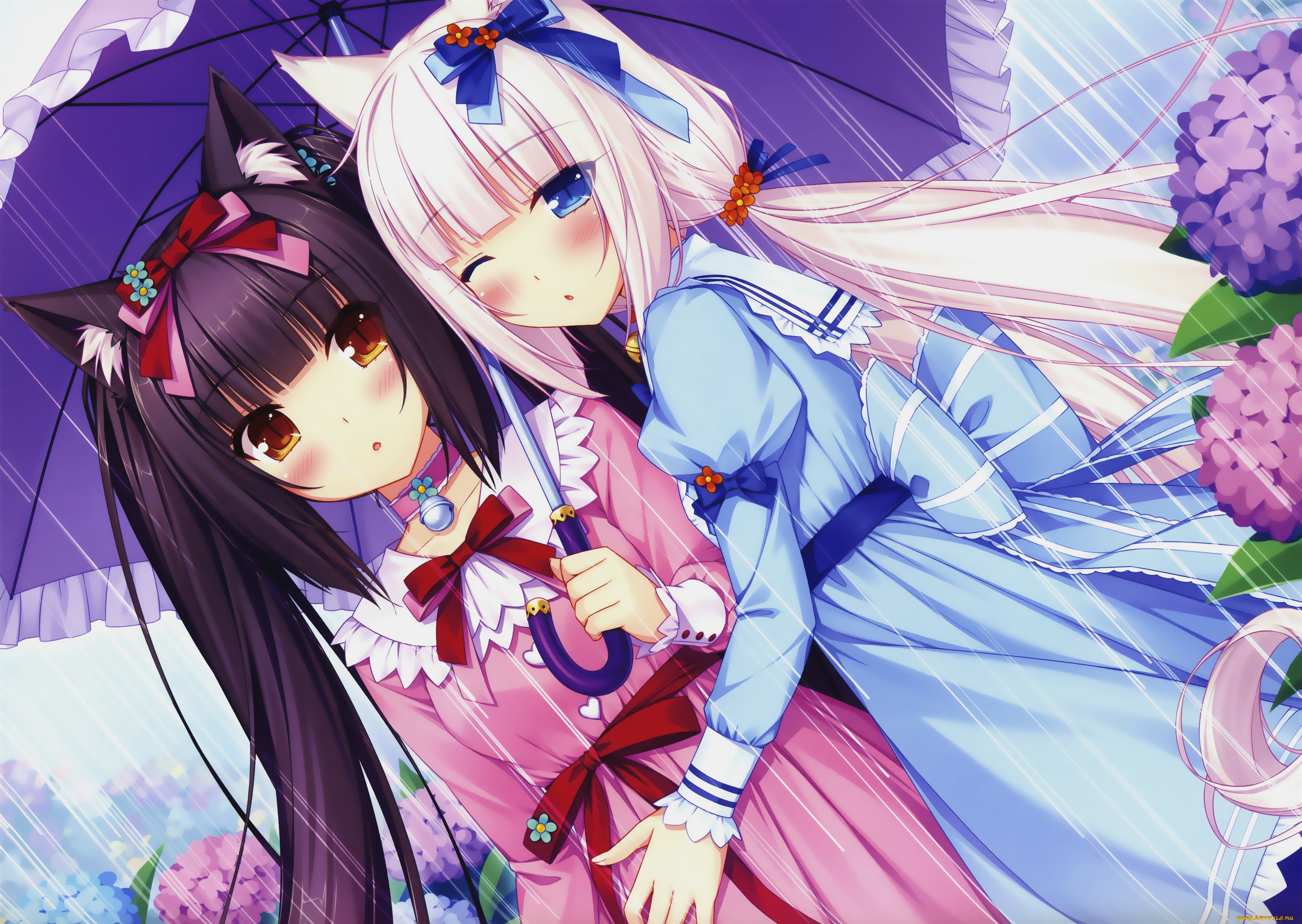 nekopara, аниме, фон, взгляд, девушки