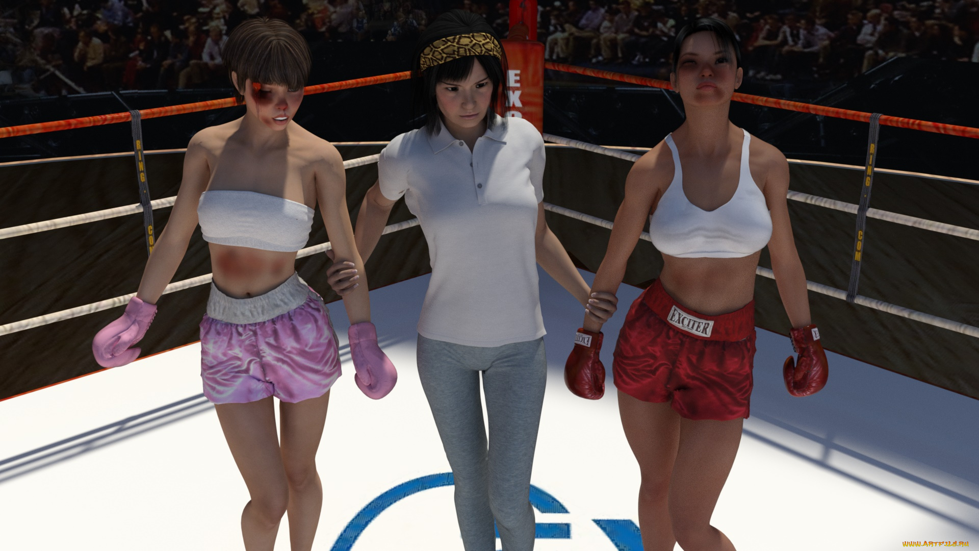 3д, графика, спорт, , sport, фон, взгляд, ринг, бокс, девушки