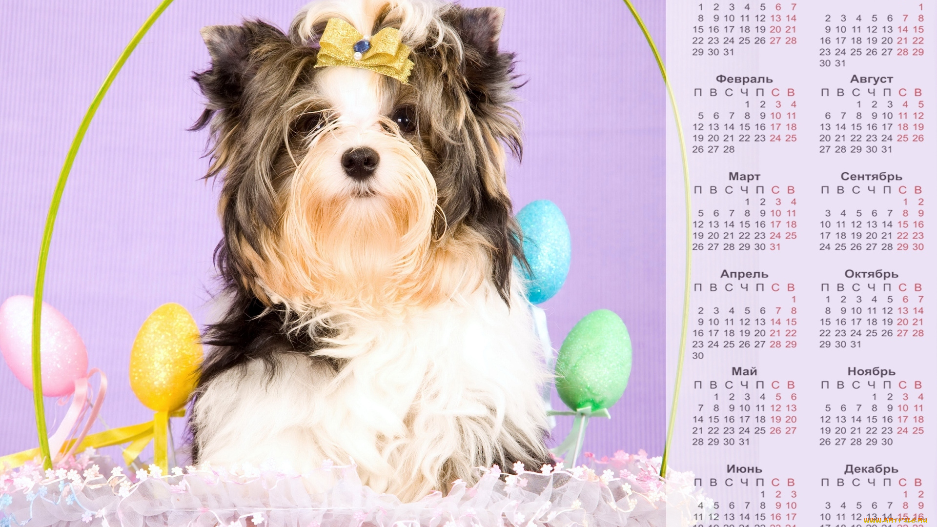 календари, животные, яйцо, взгляд, 2018, собака