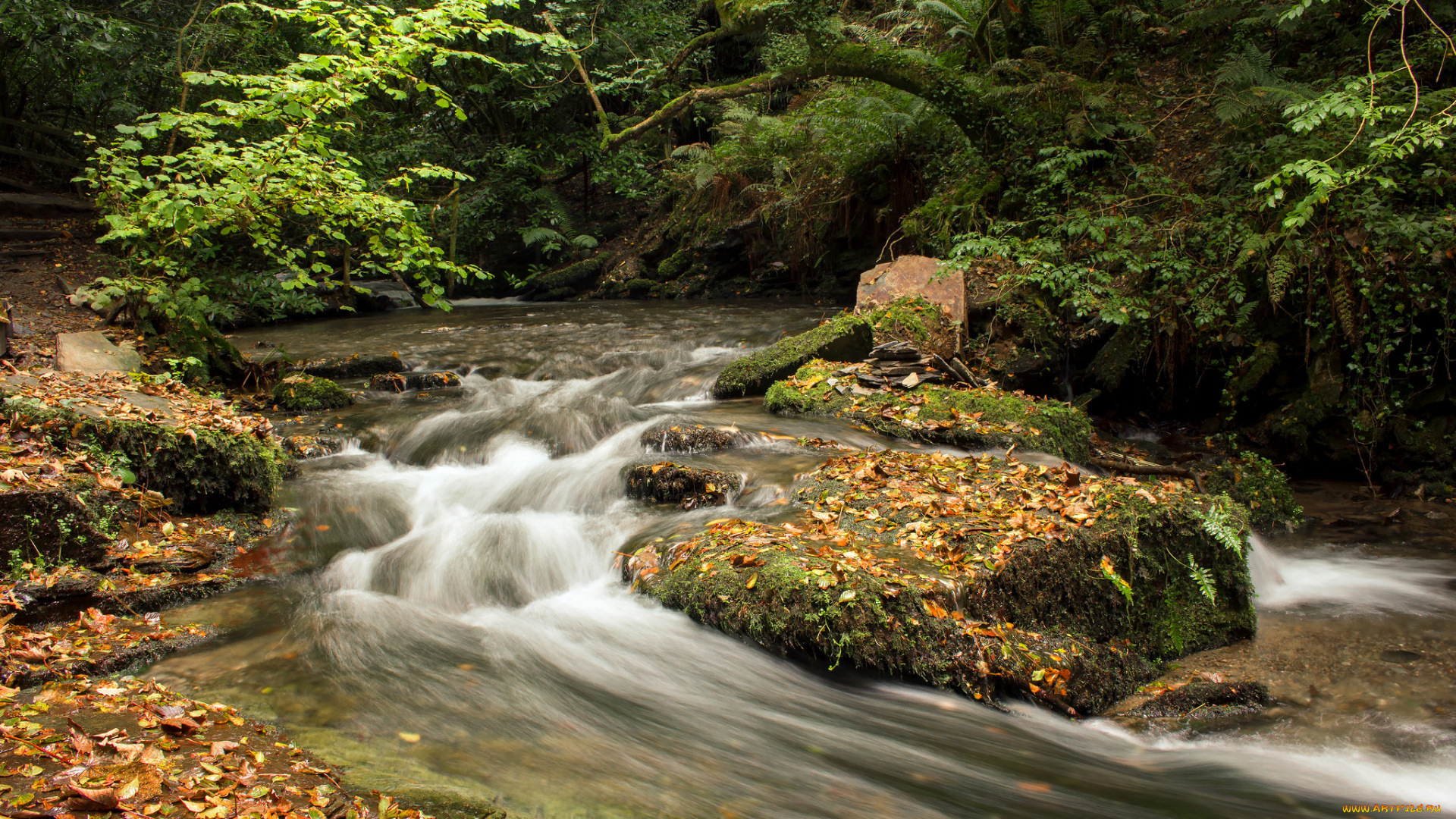 природа, реки, озера, простор