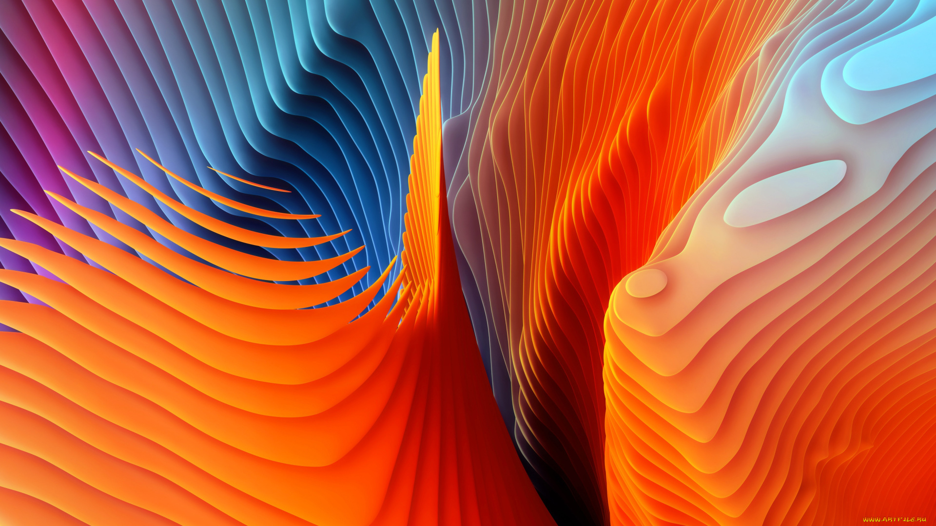 векторная, графика, графика, , graphics, краски, слой, узор, объем