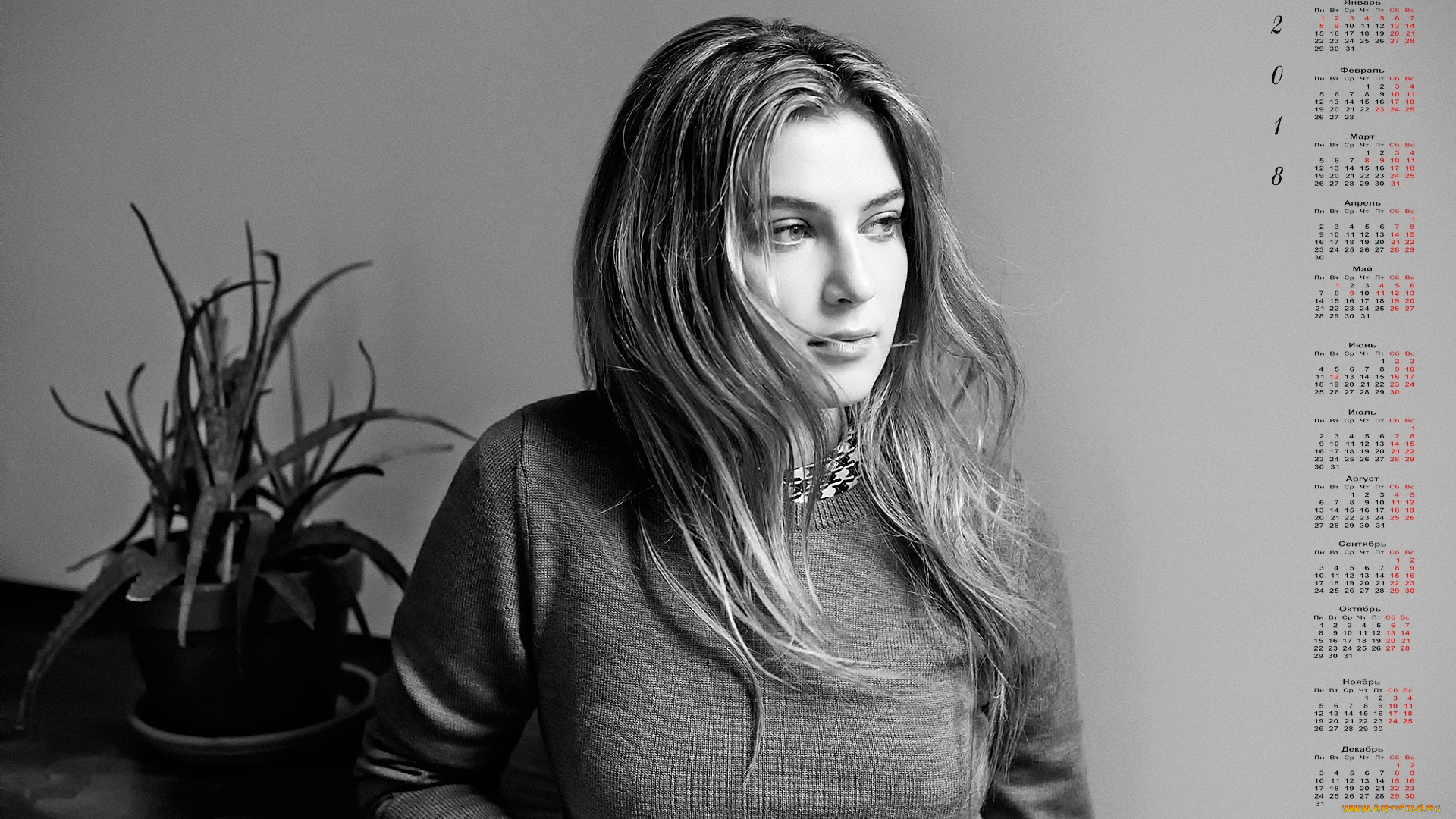 zoi, levin, календари, знаменитости, взгляд, 2018, цветок, женщина