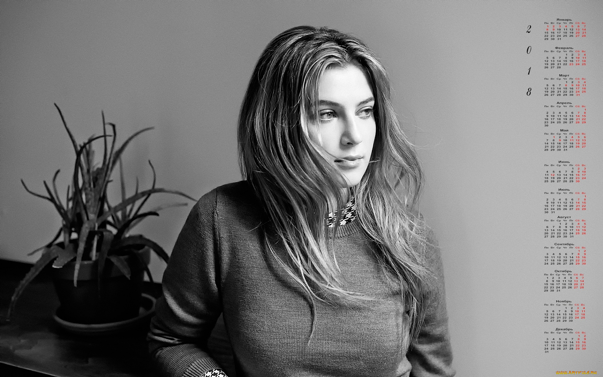zoi, levin, календари, знаменитости, взгляд, 2018, цветок, женщина