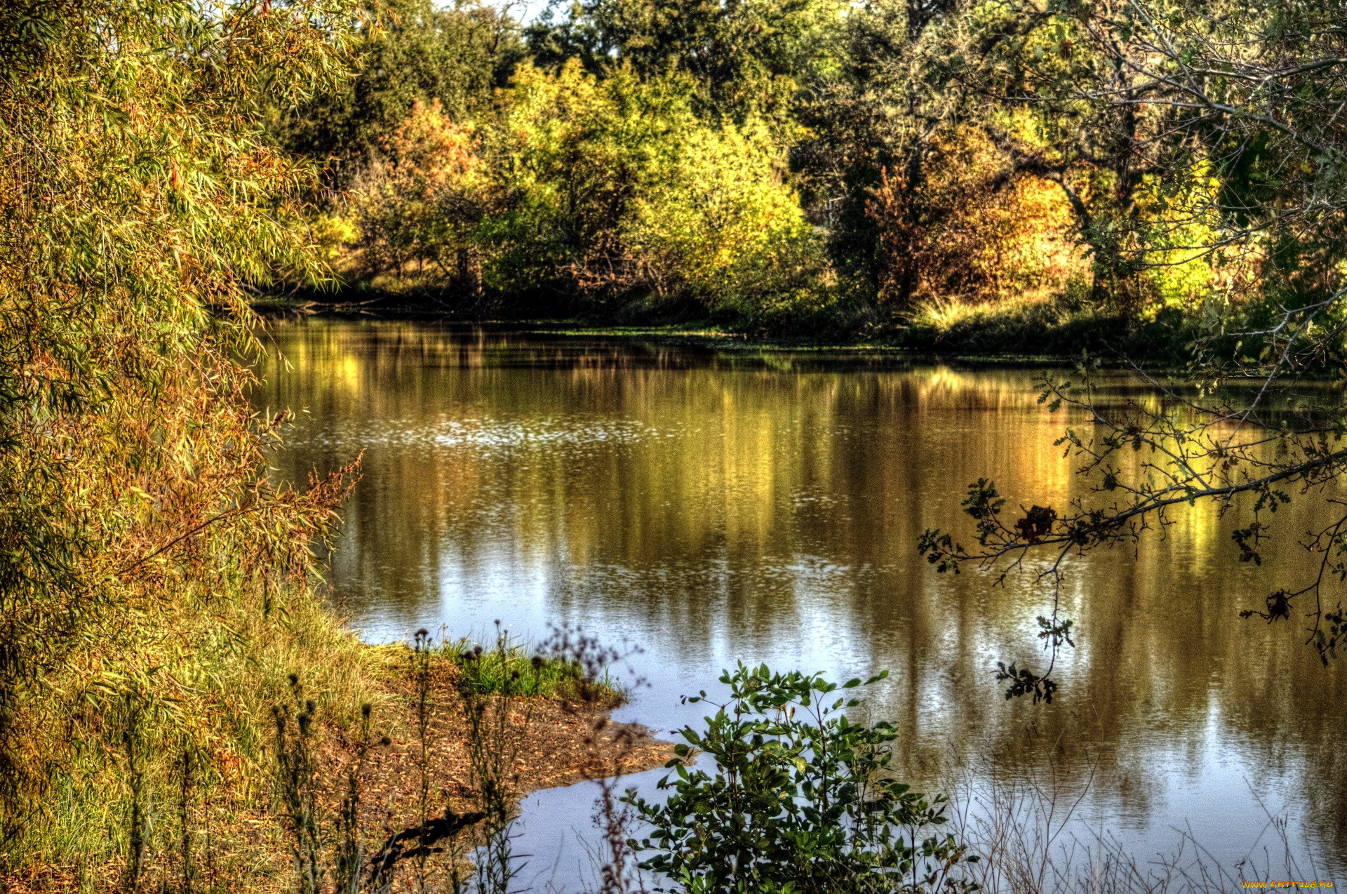 природа, реки, озера, покой, река, лето