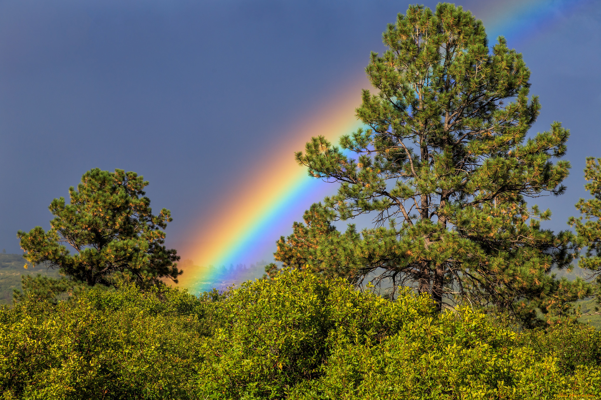 природа, радуга, простор