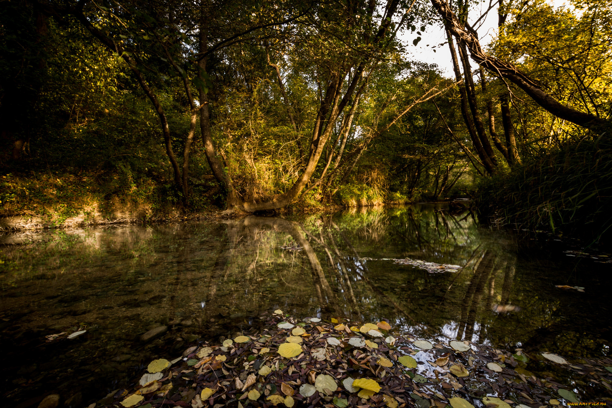 природа, реки, озера, простор