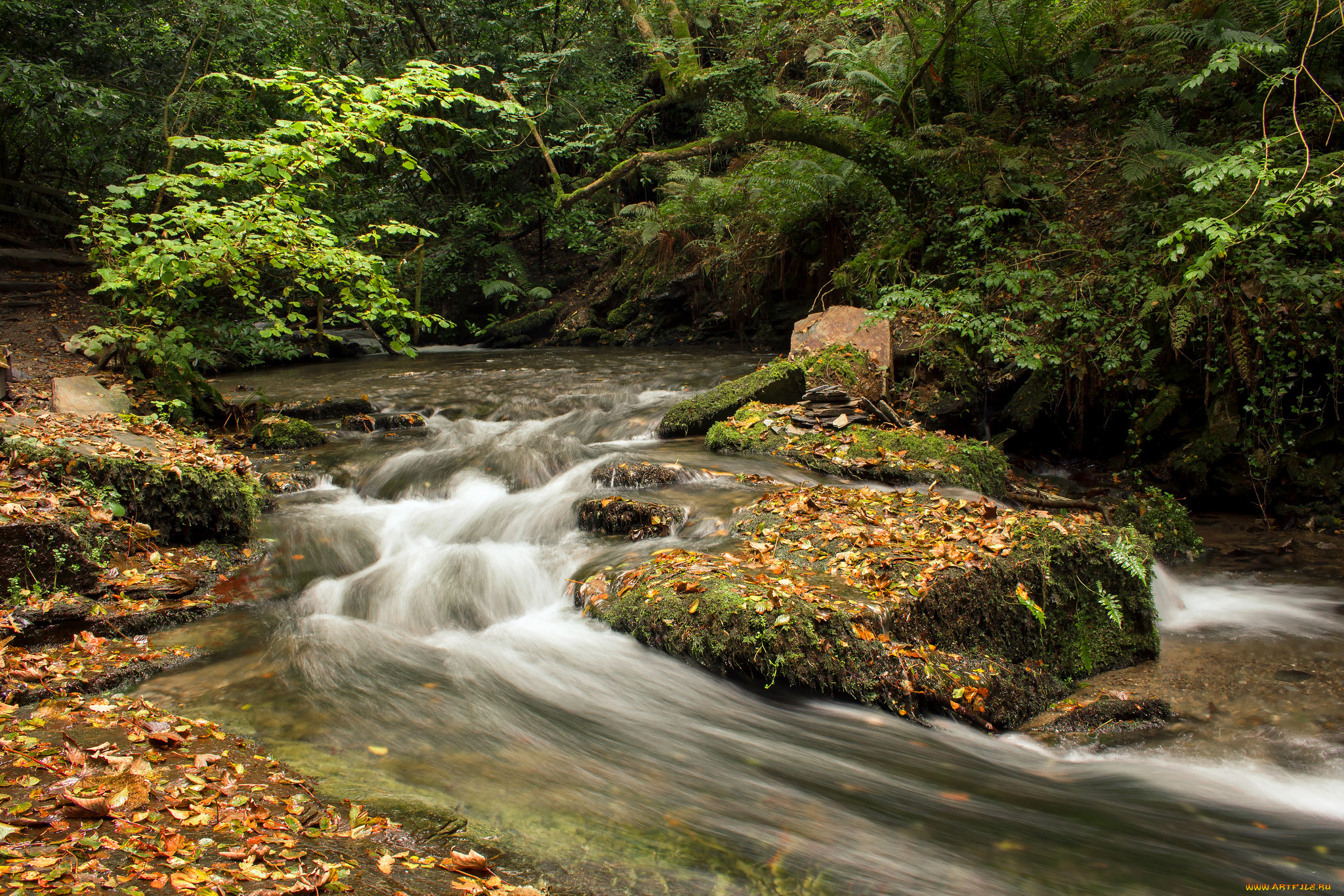 природа, реки, озера, простор
